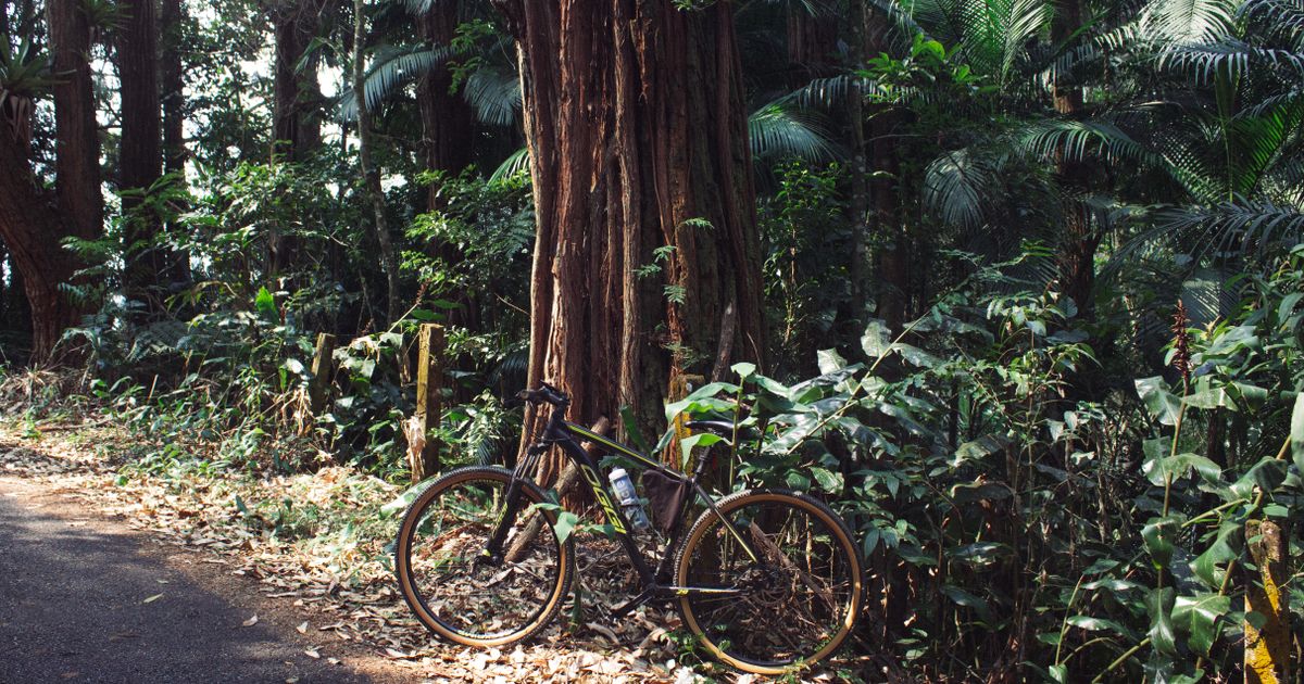 Scott Bikes Dubai: Complete Model Guide for UAE Riders