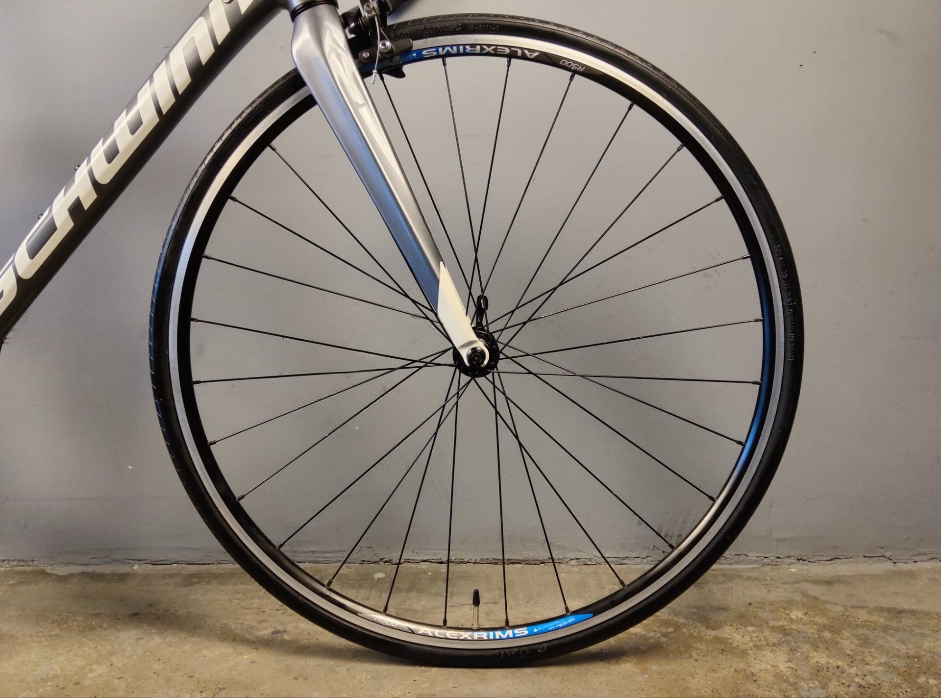 RENT Schwinn Fastback Road Bike