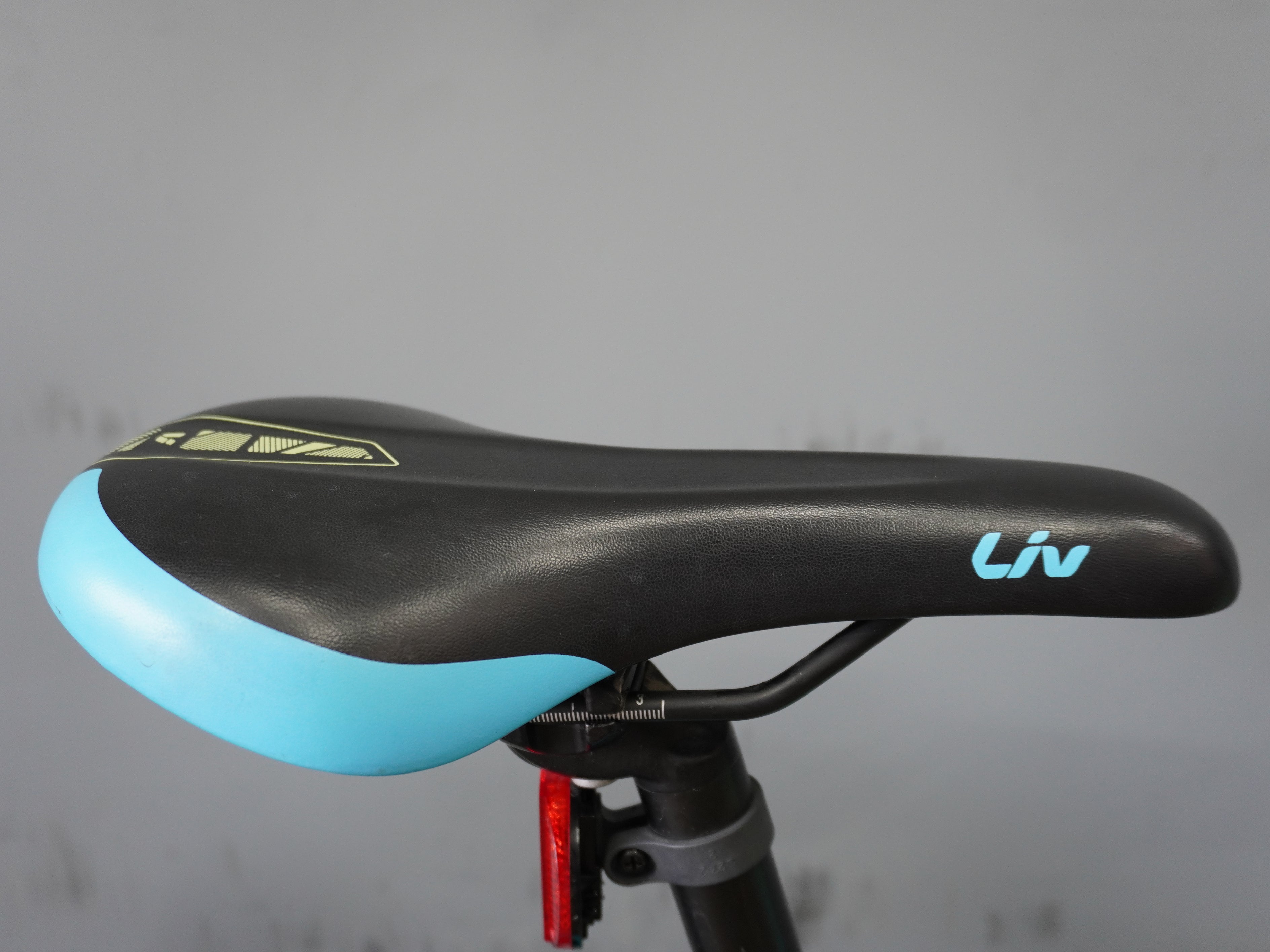 Liv Enchant Kids Bike