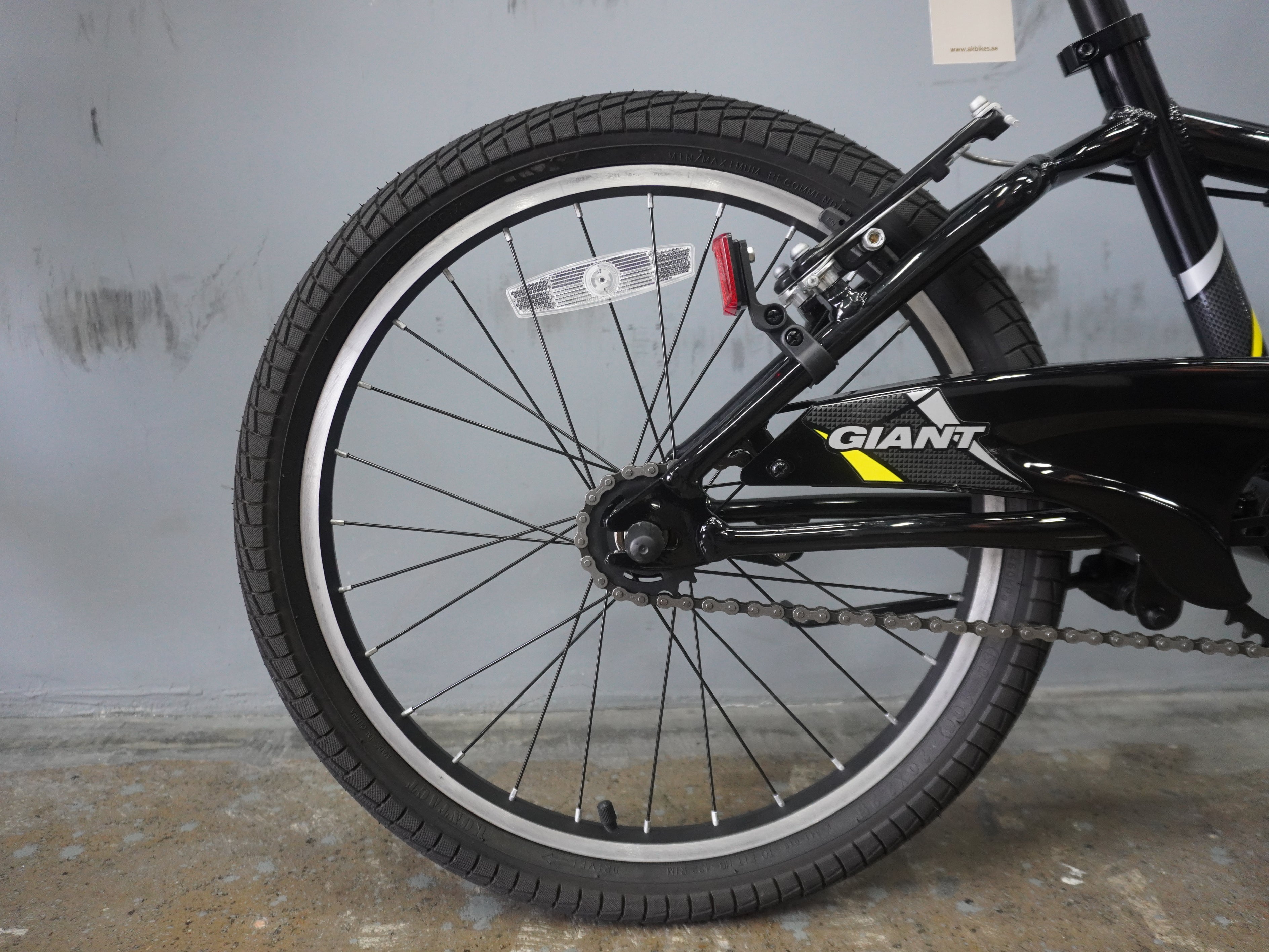 Giant Moda Kids Bike