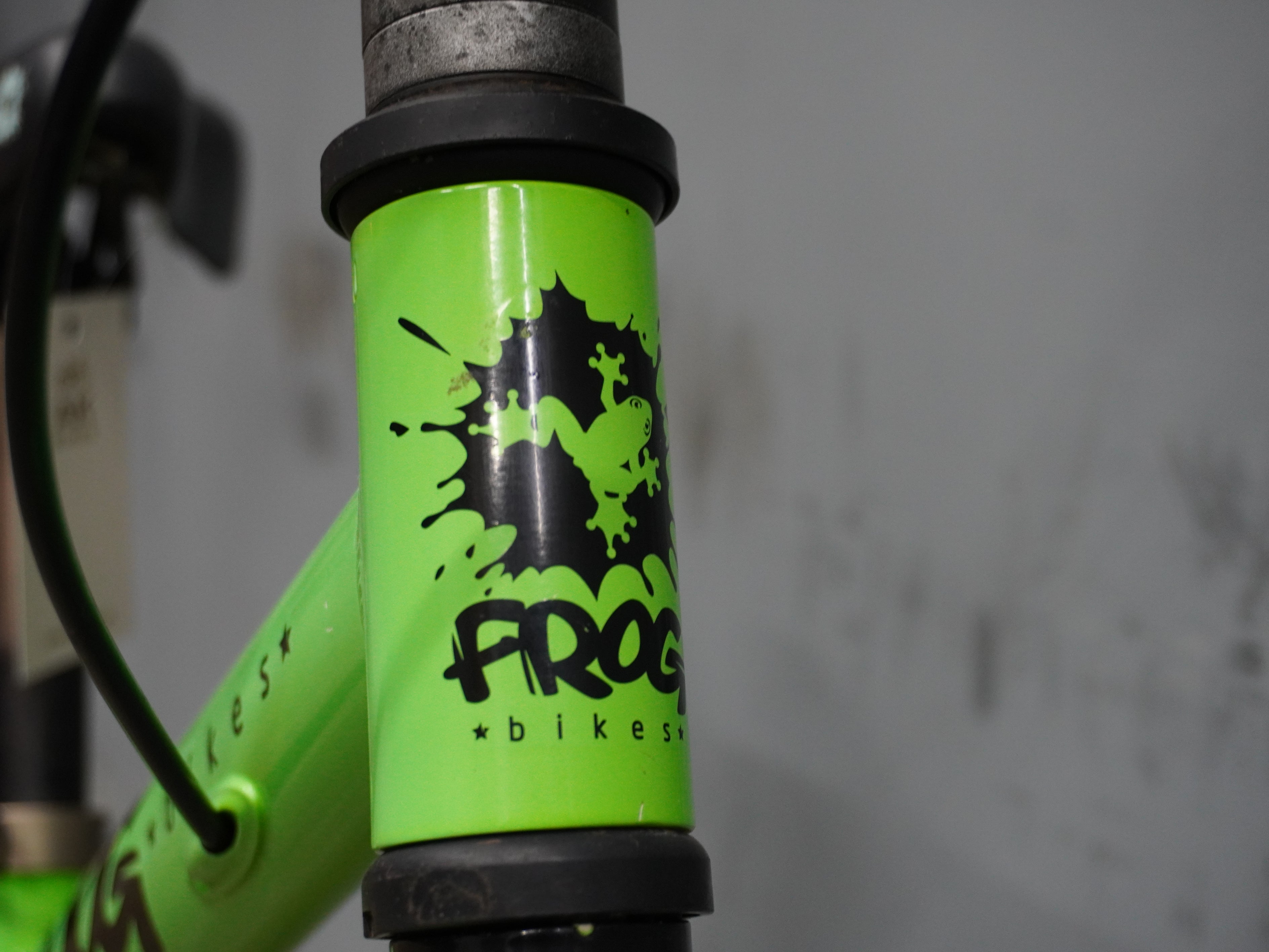 Frog Tadpole Kids Bike
