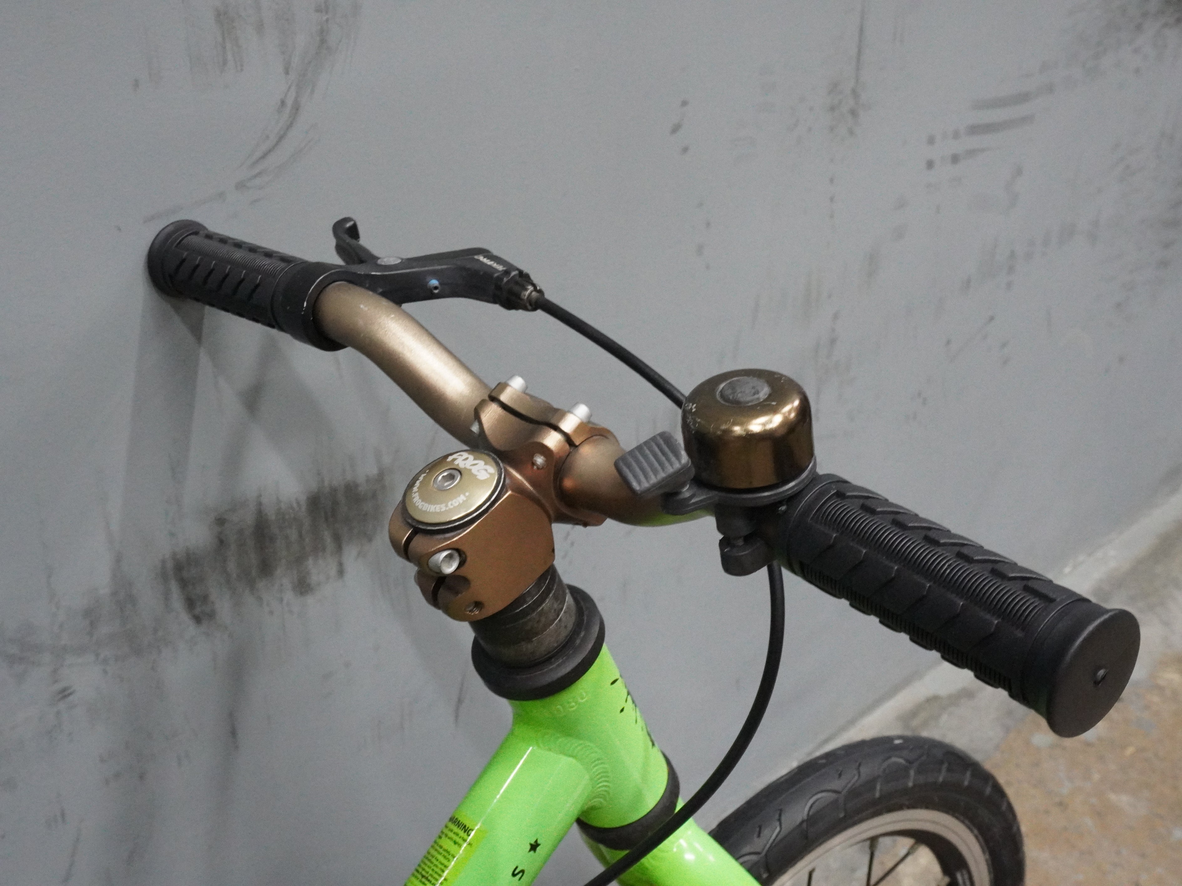 Frog Tadpole Kids Bike