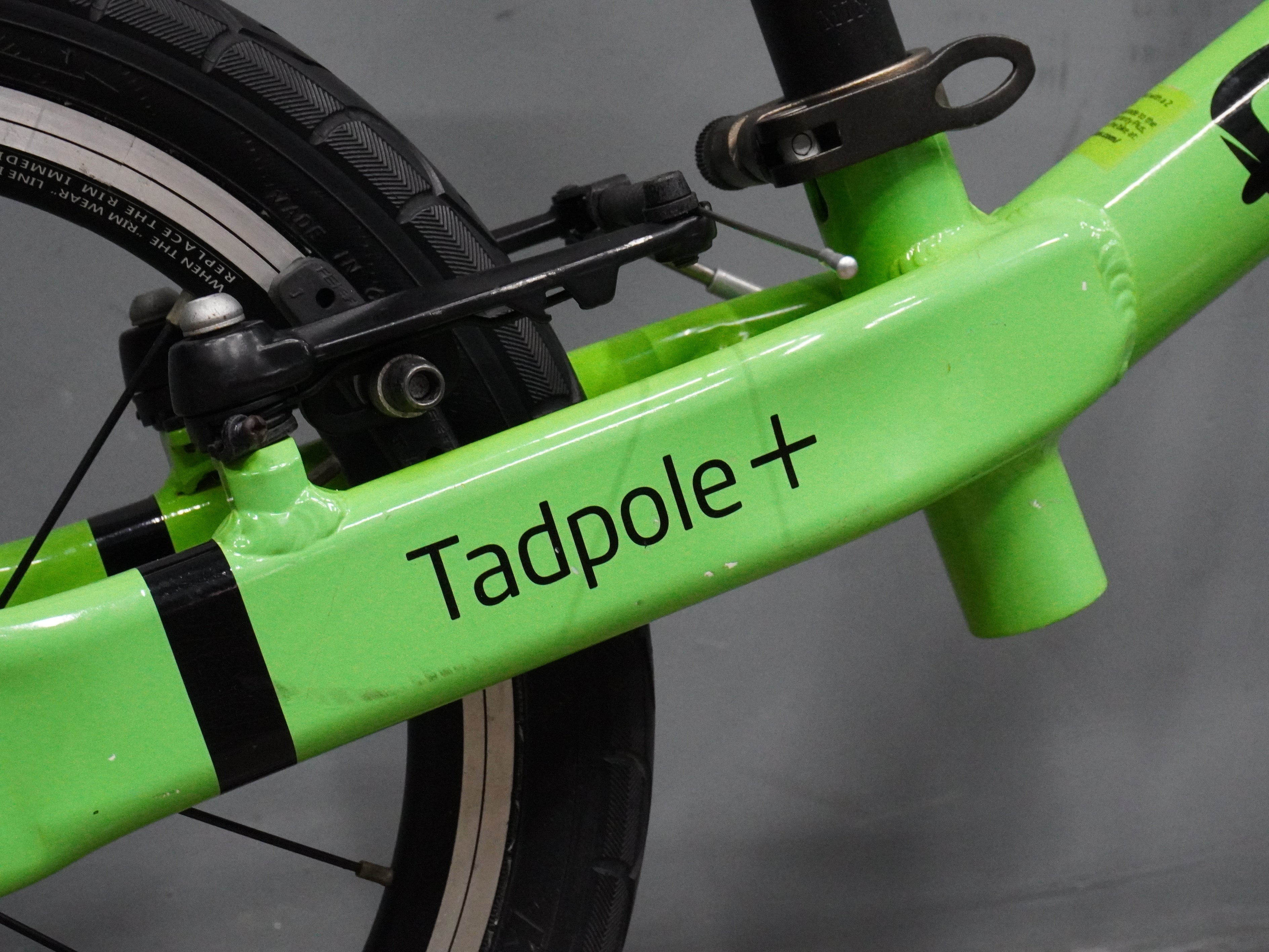 Frog Tadpole Kids Bike