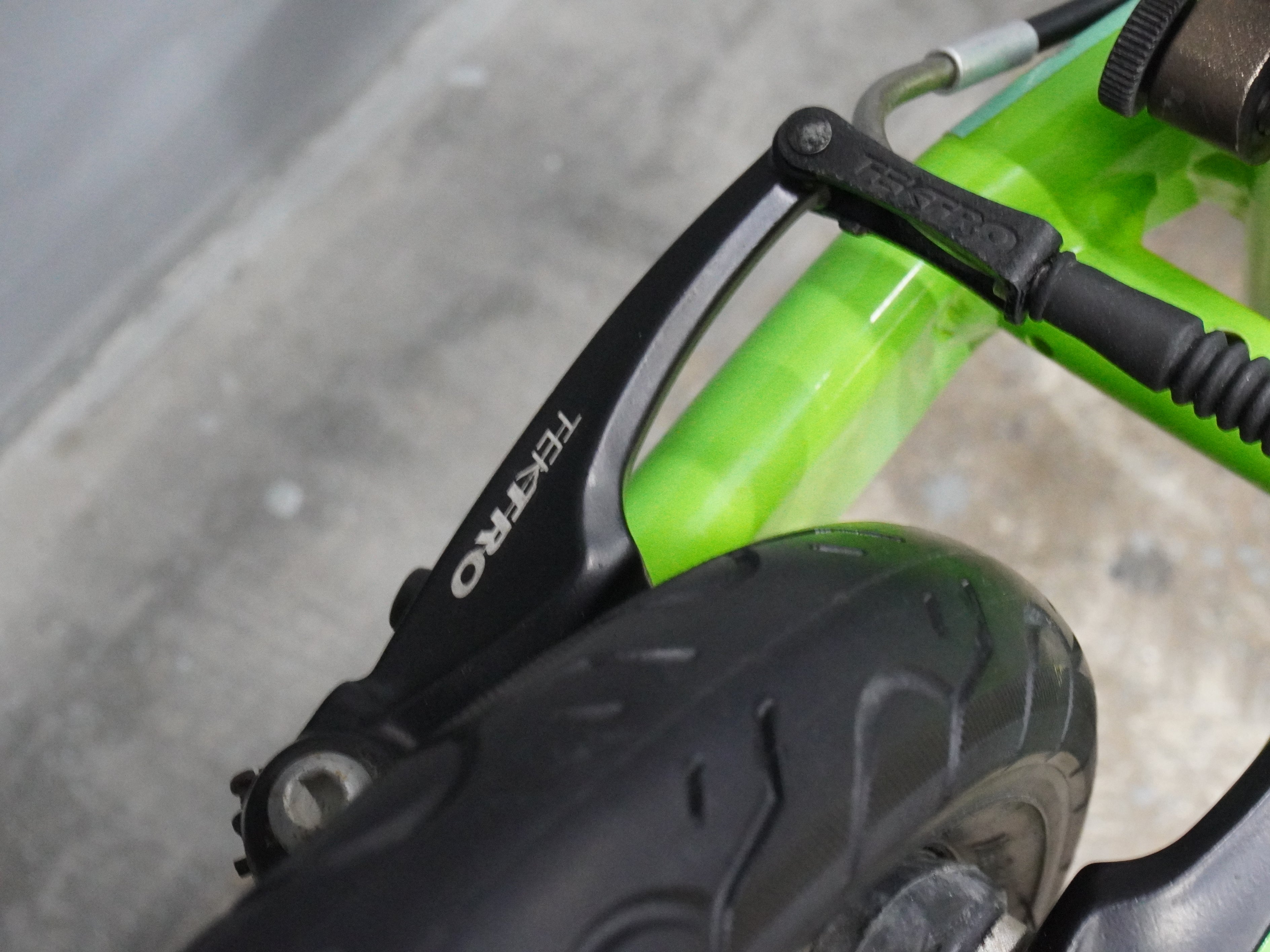 Frog Tadpole Kids Bike