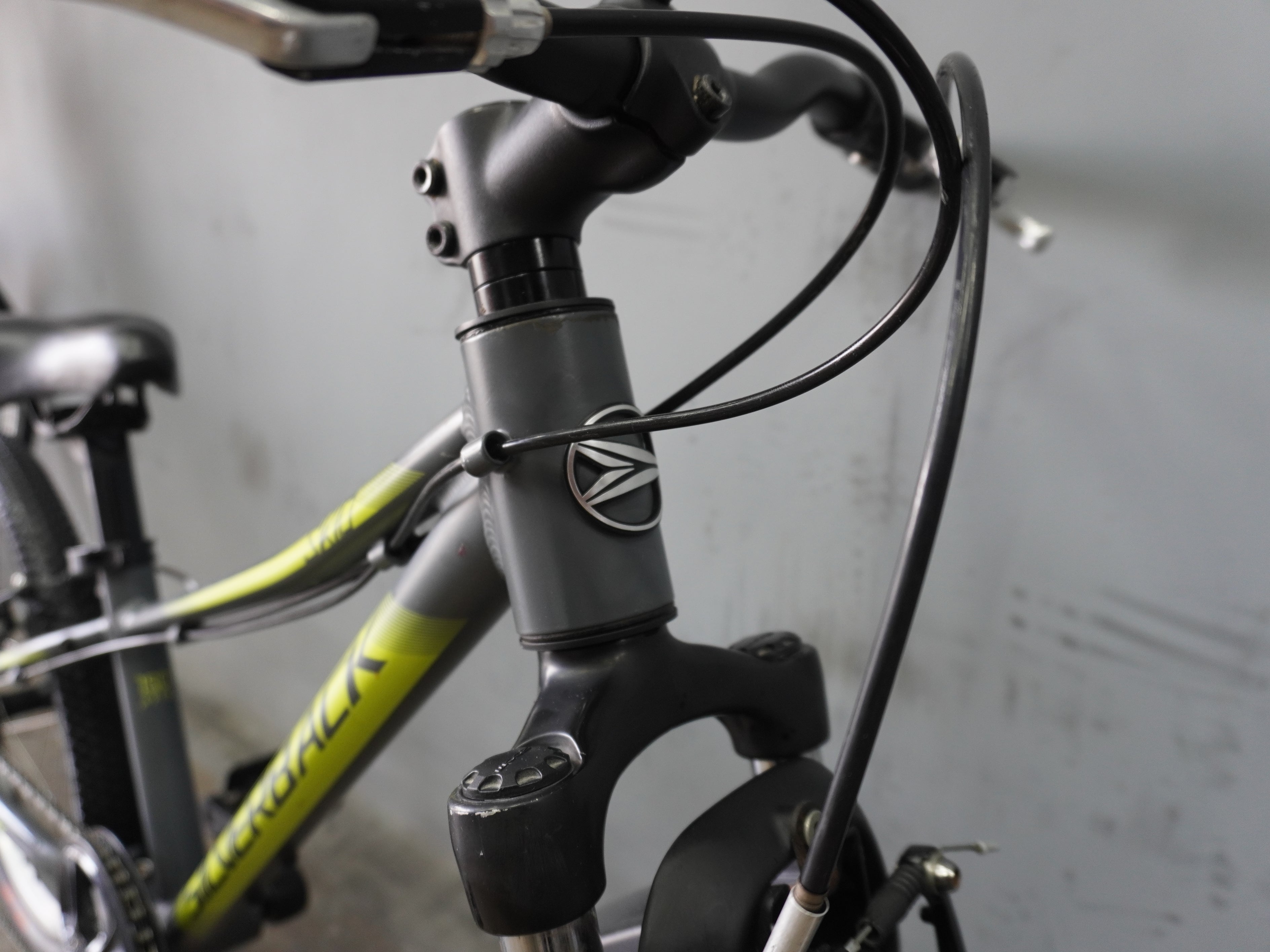 Silverback Skid Kids Bike