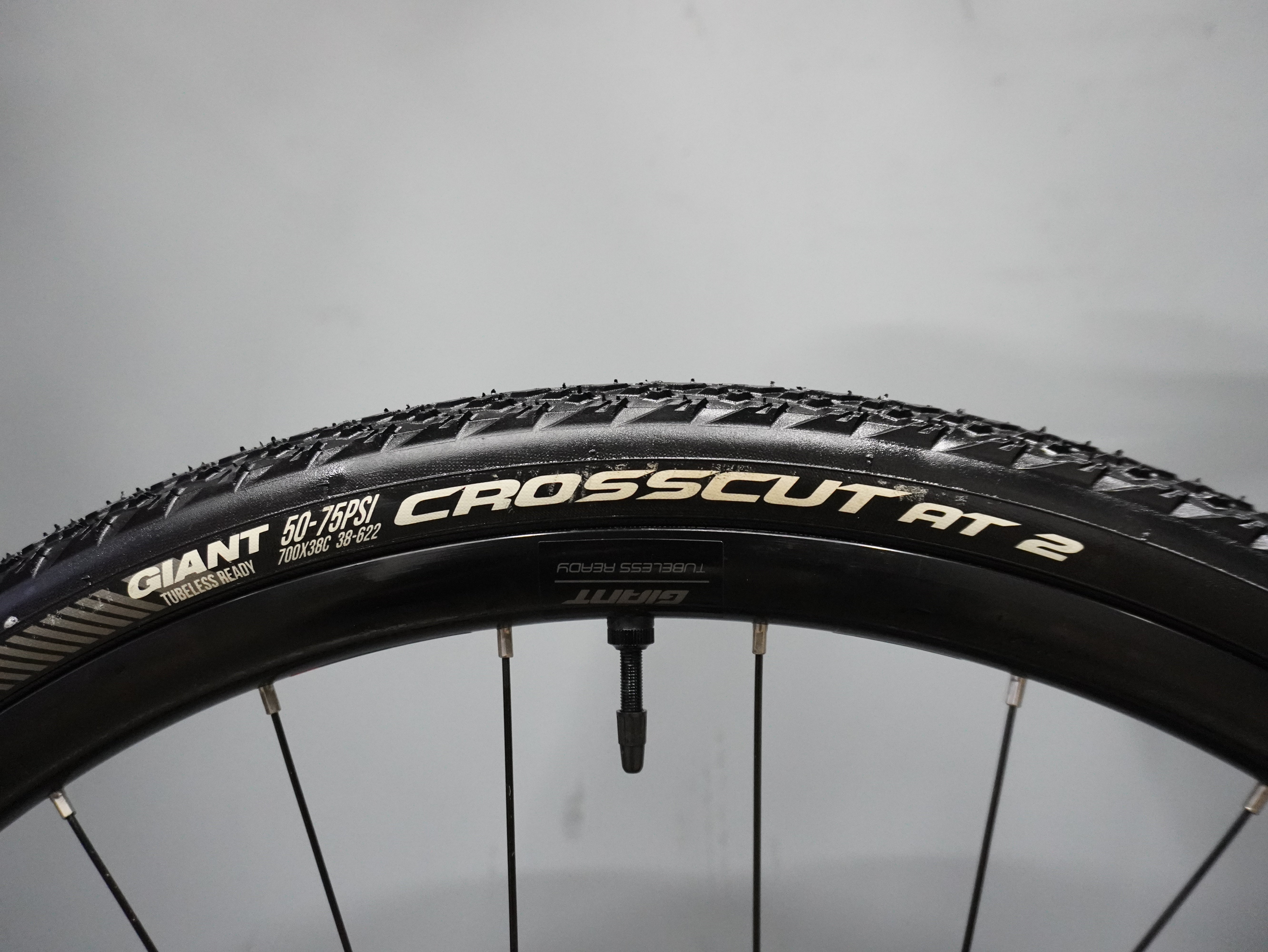 Giant Revolt 2 Gravel Bike