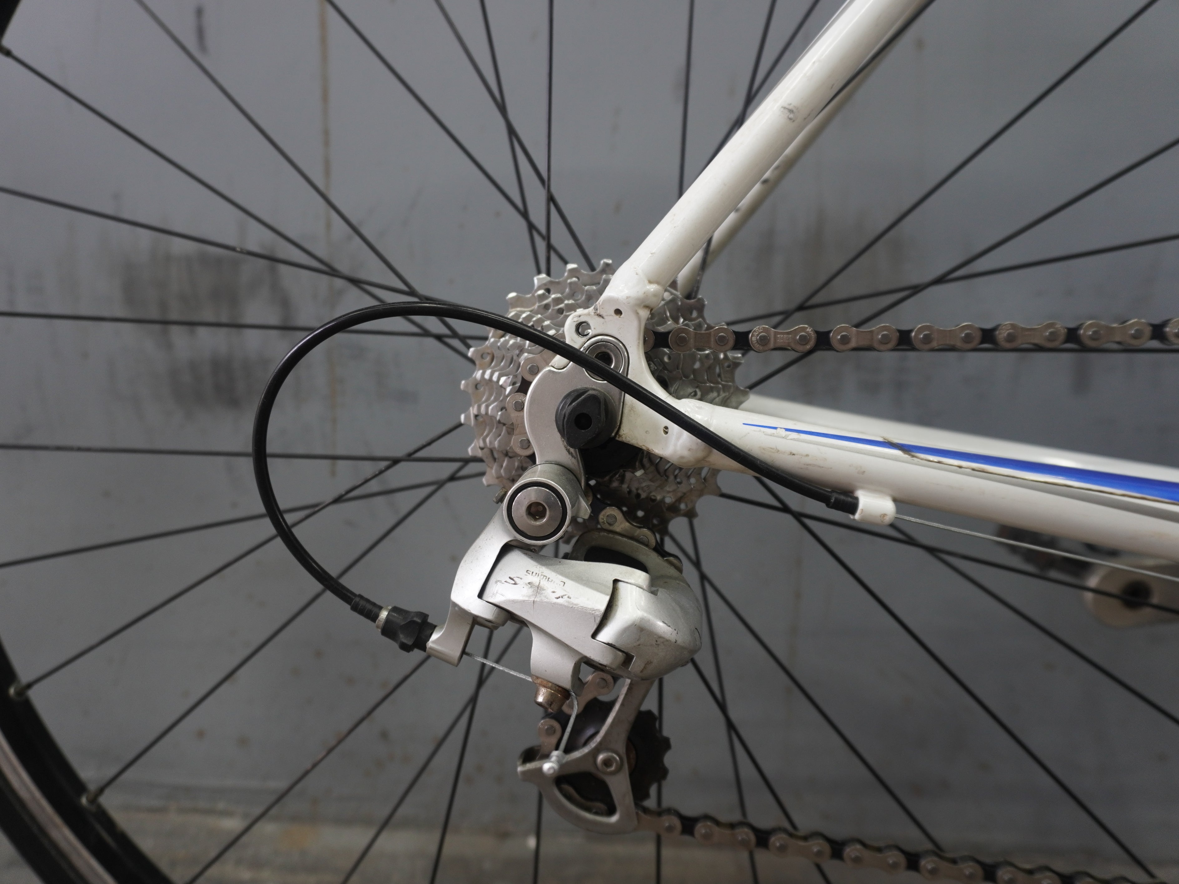 Trek 1.2 WSD Road Bike