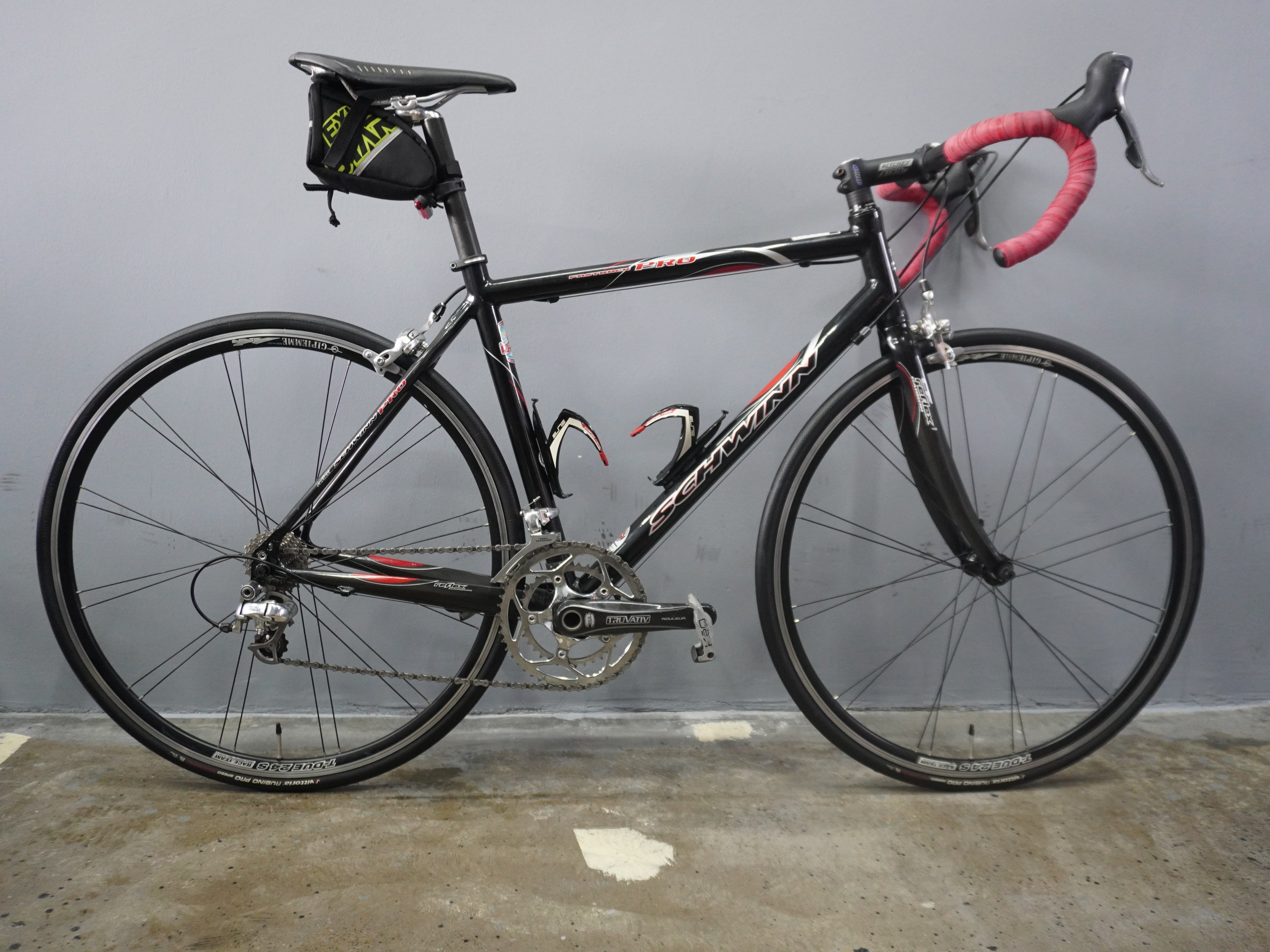 Schwinn Fastback Pro Road Bike