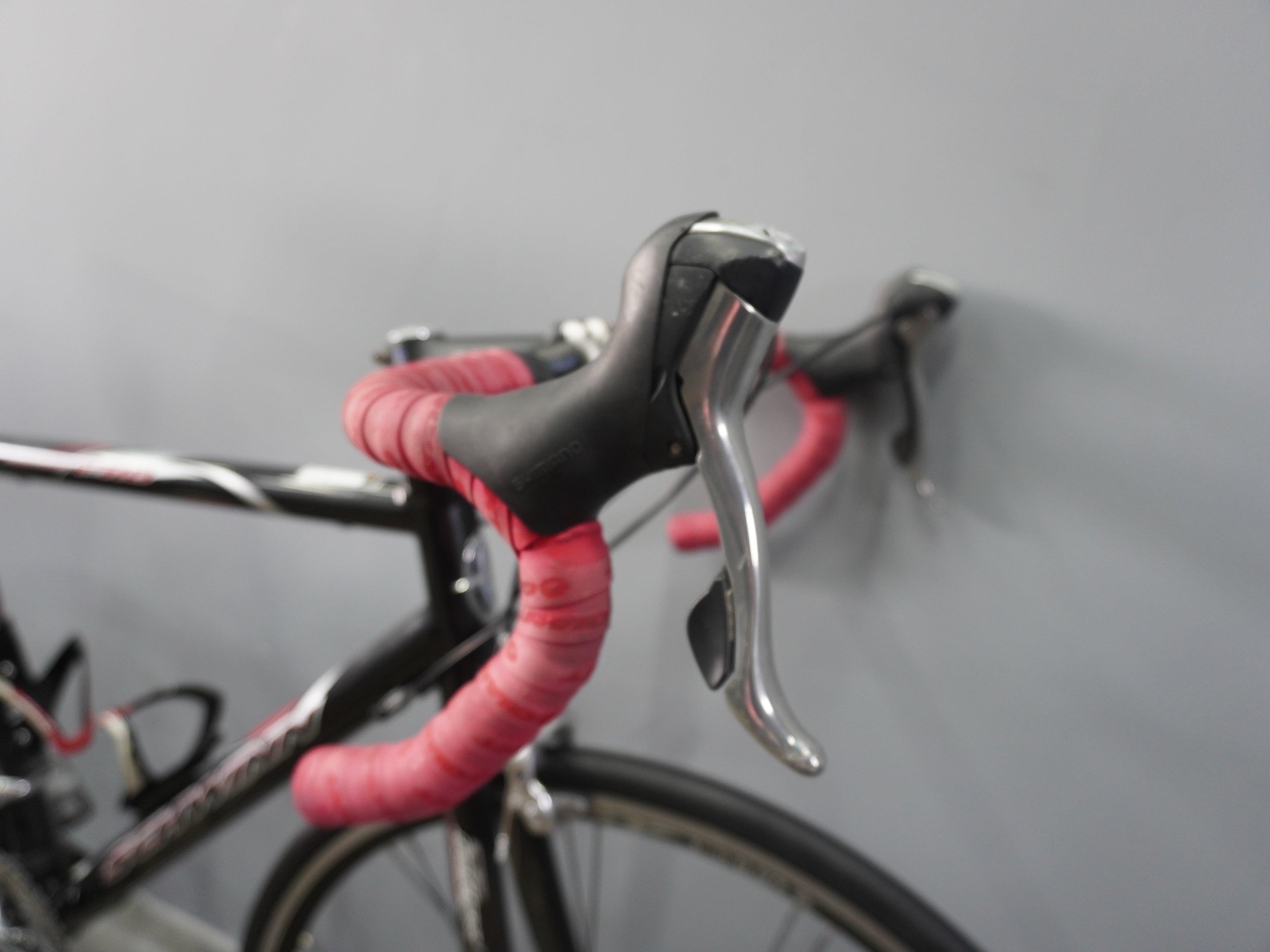 Schwinn Fastback Pro Road Bike