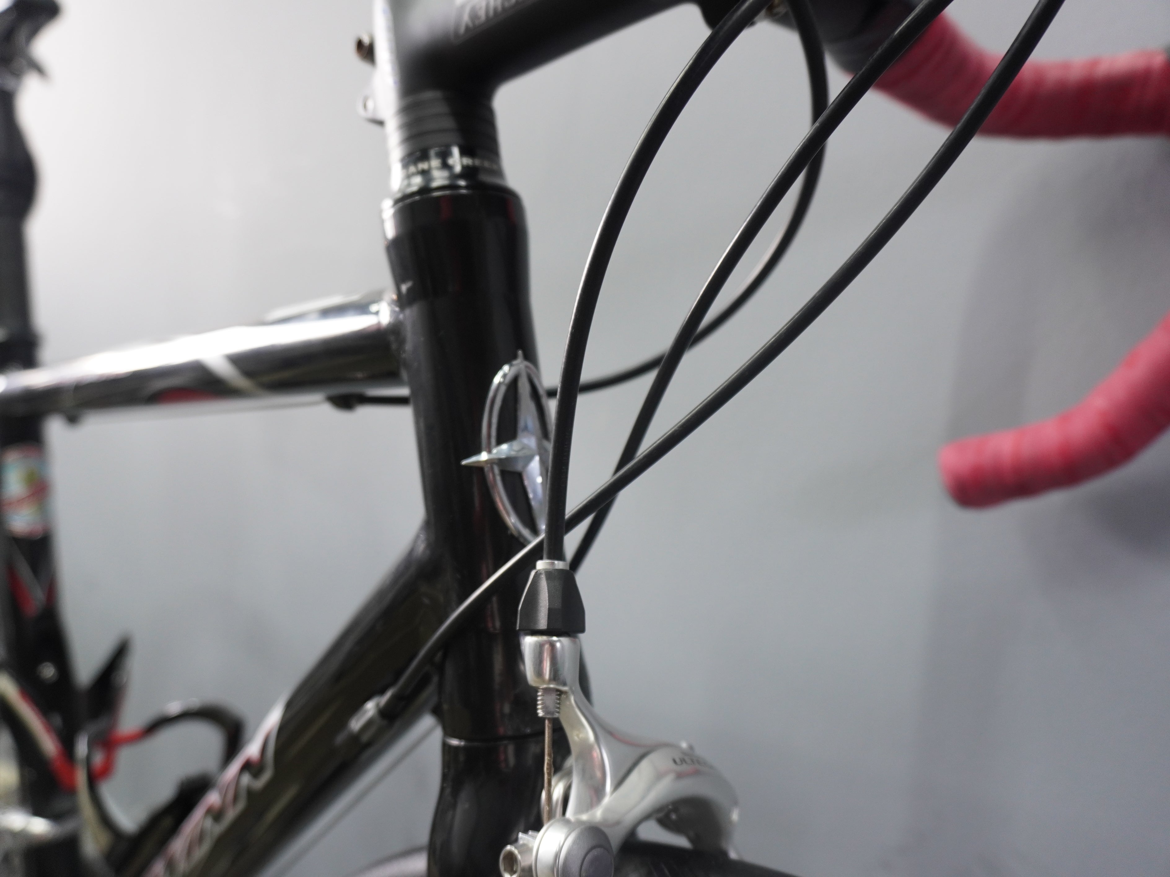 Schwinn Fastback Pro Road Bike