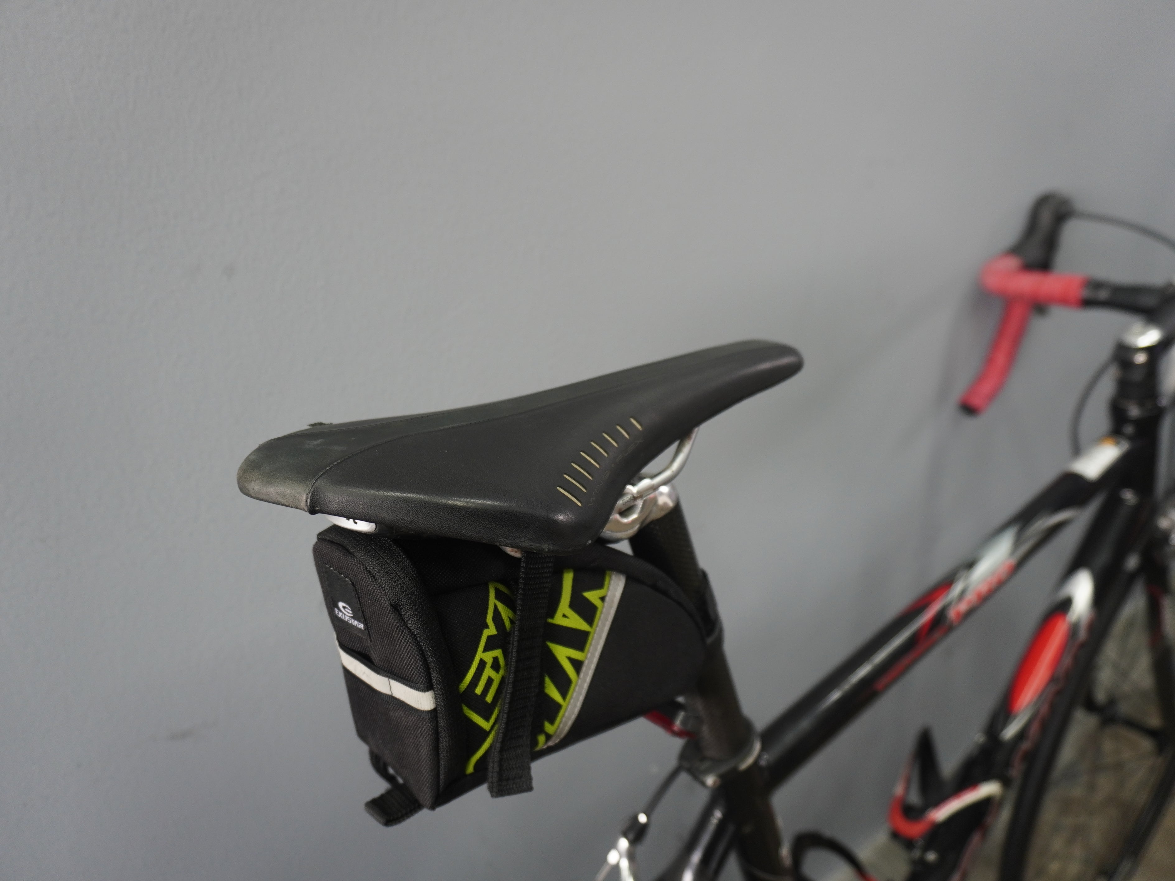Schwinn Fastback Pro Road Bike
