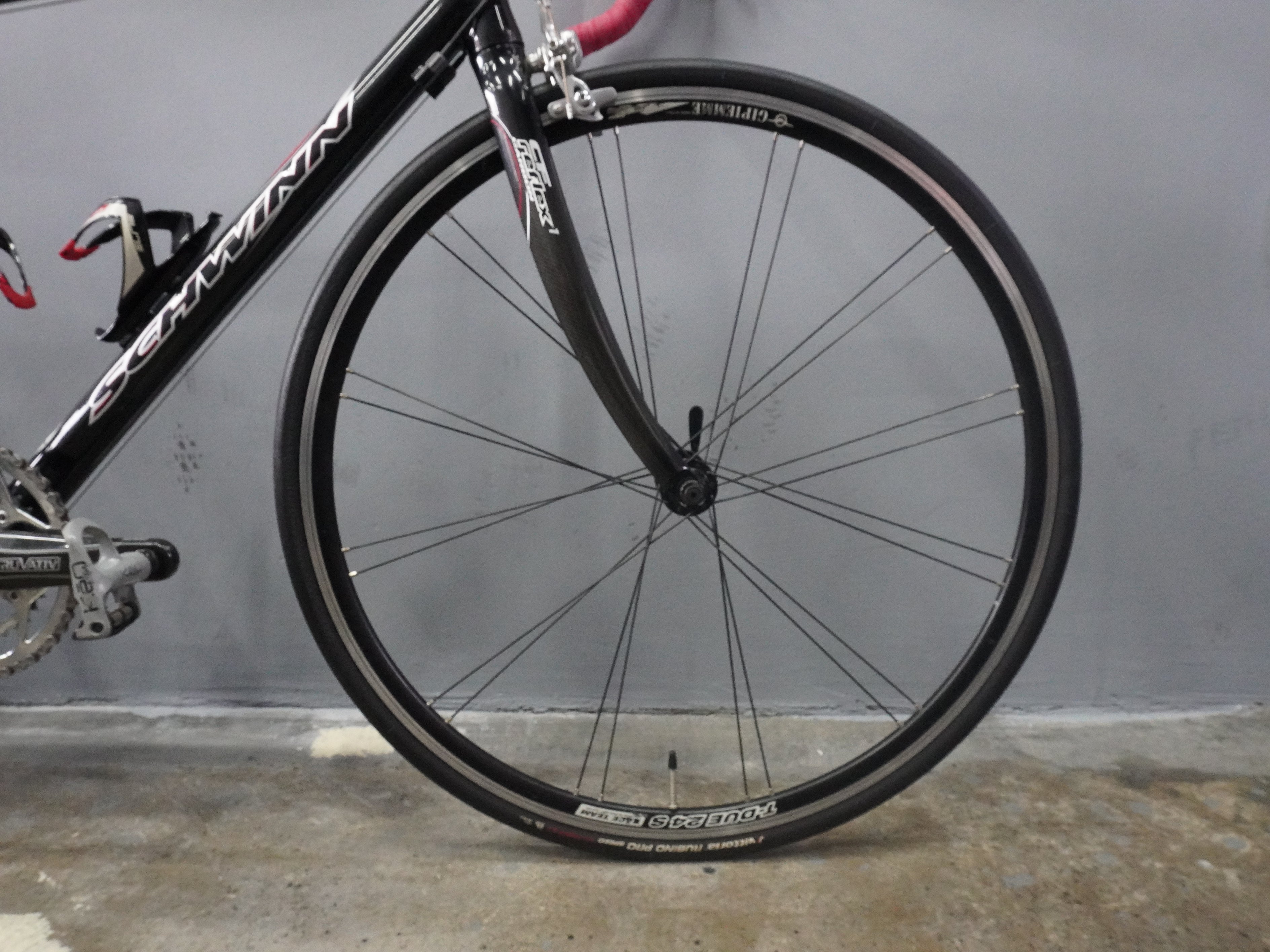 Schwinn Fastback Pro Road Bike