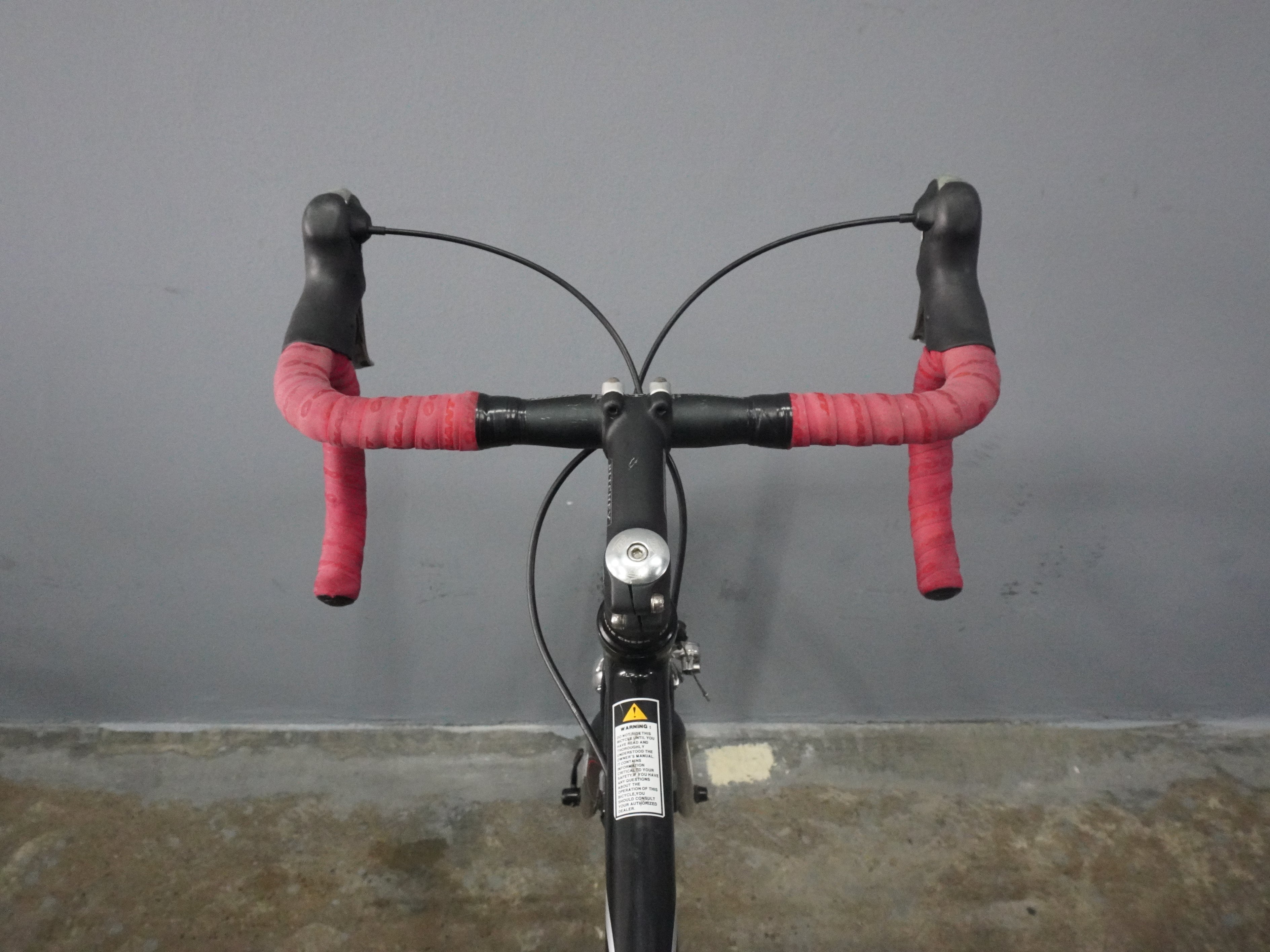 Schwinn Fastback Pro Road Bike