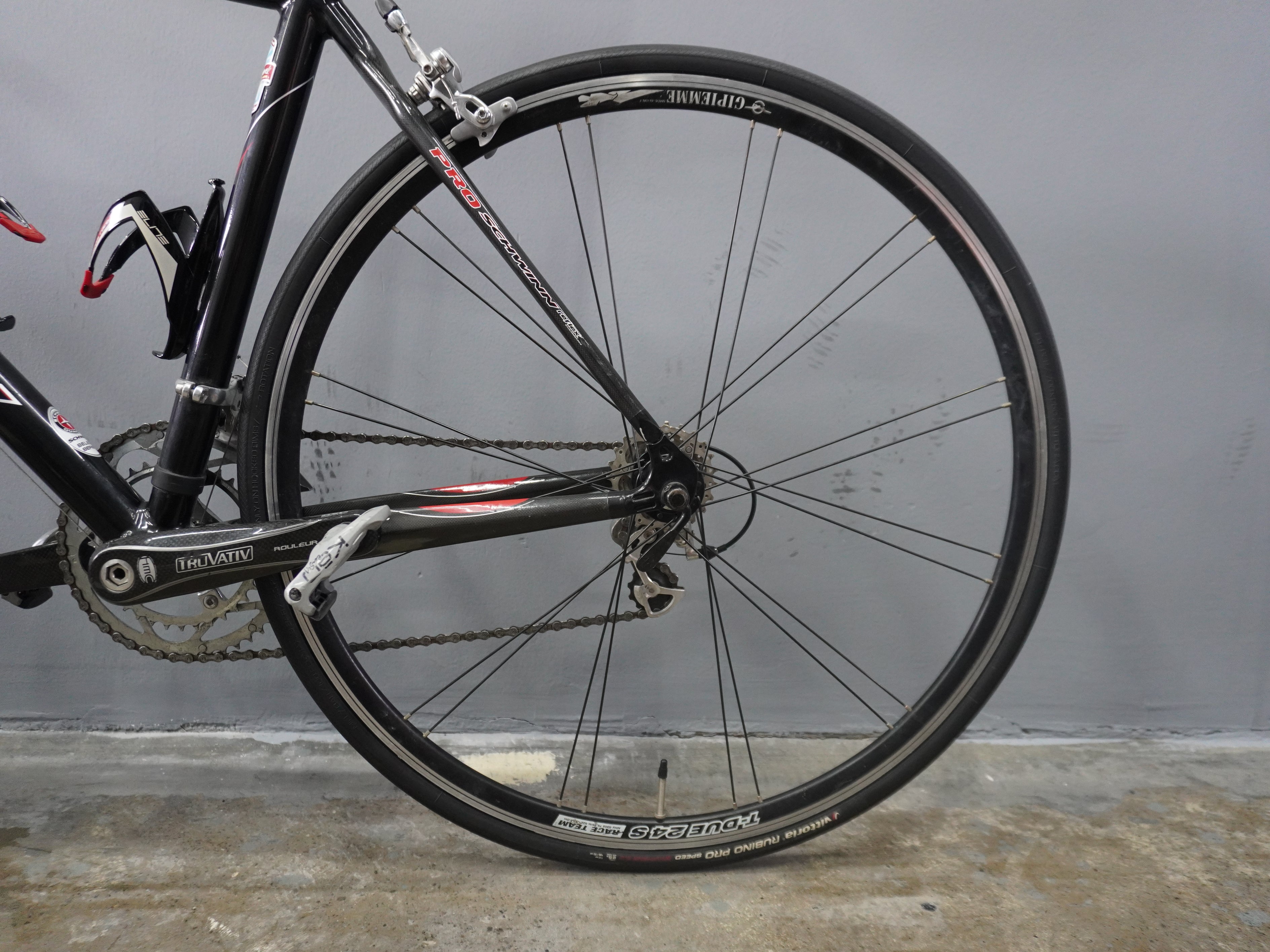 Schwinn Fastback Pro Road Bike