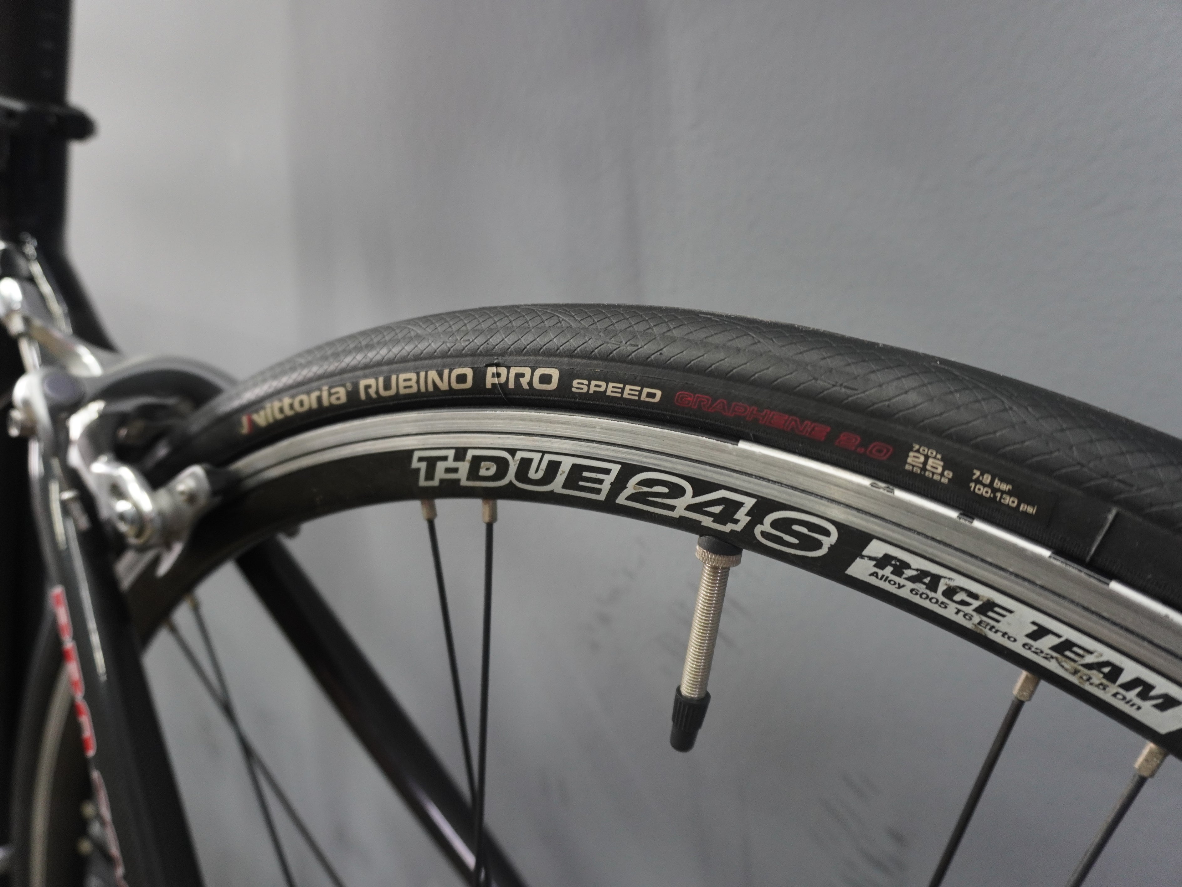 Schwinn Fastback Pro Road Bike