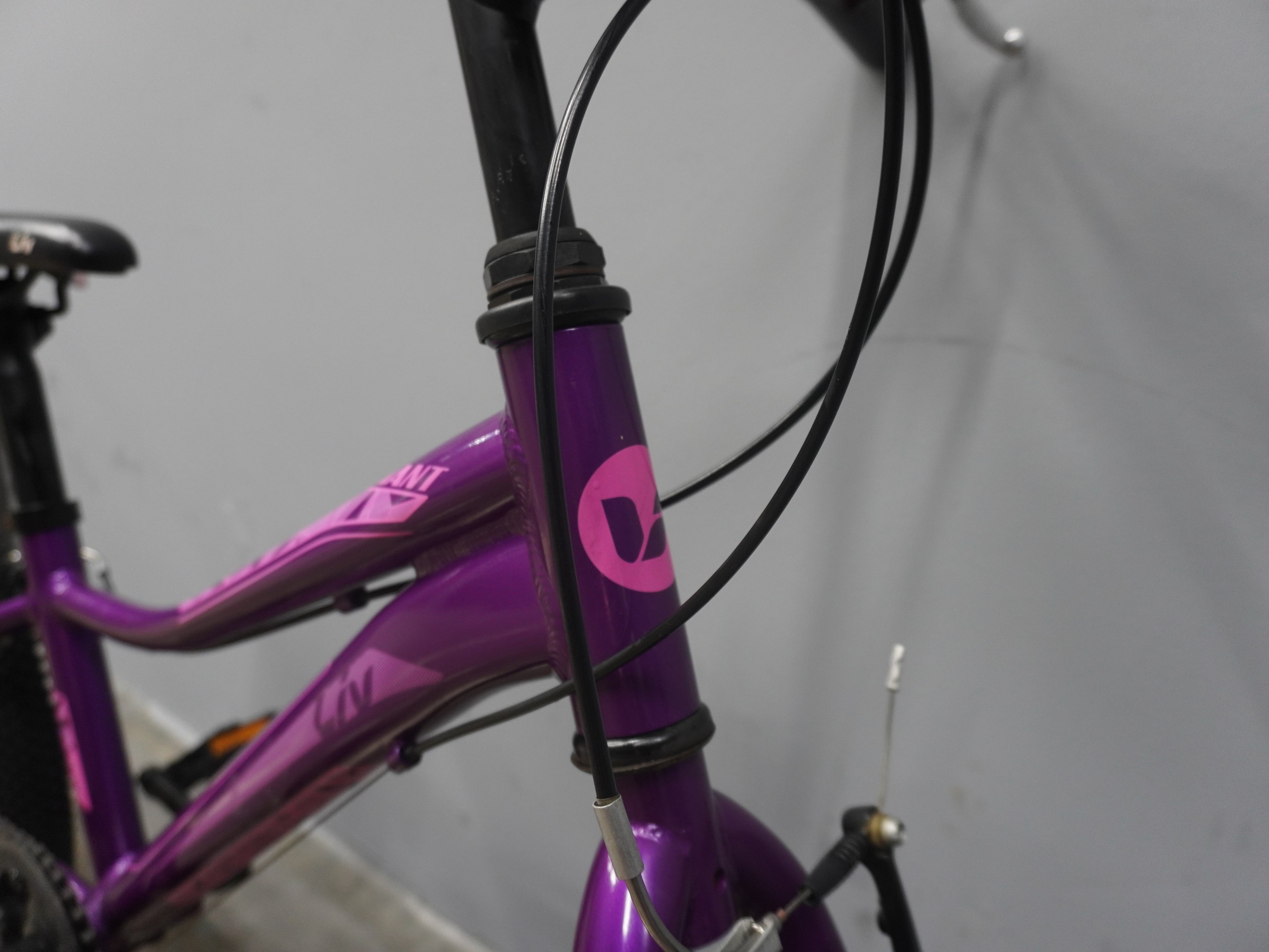 Liv Enchant Lite Kids Bike