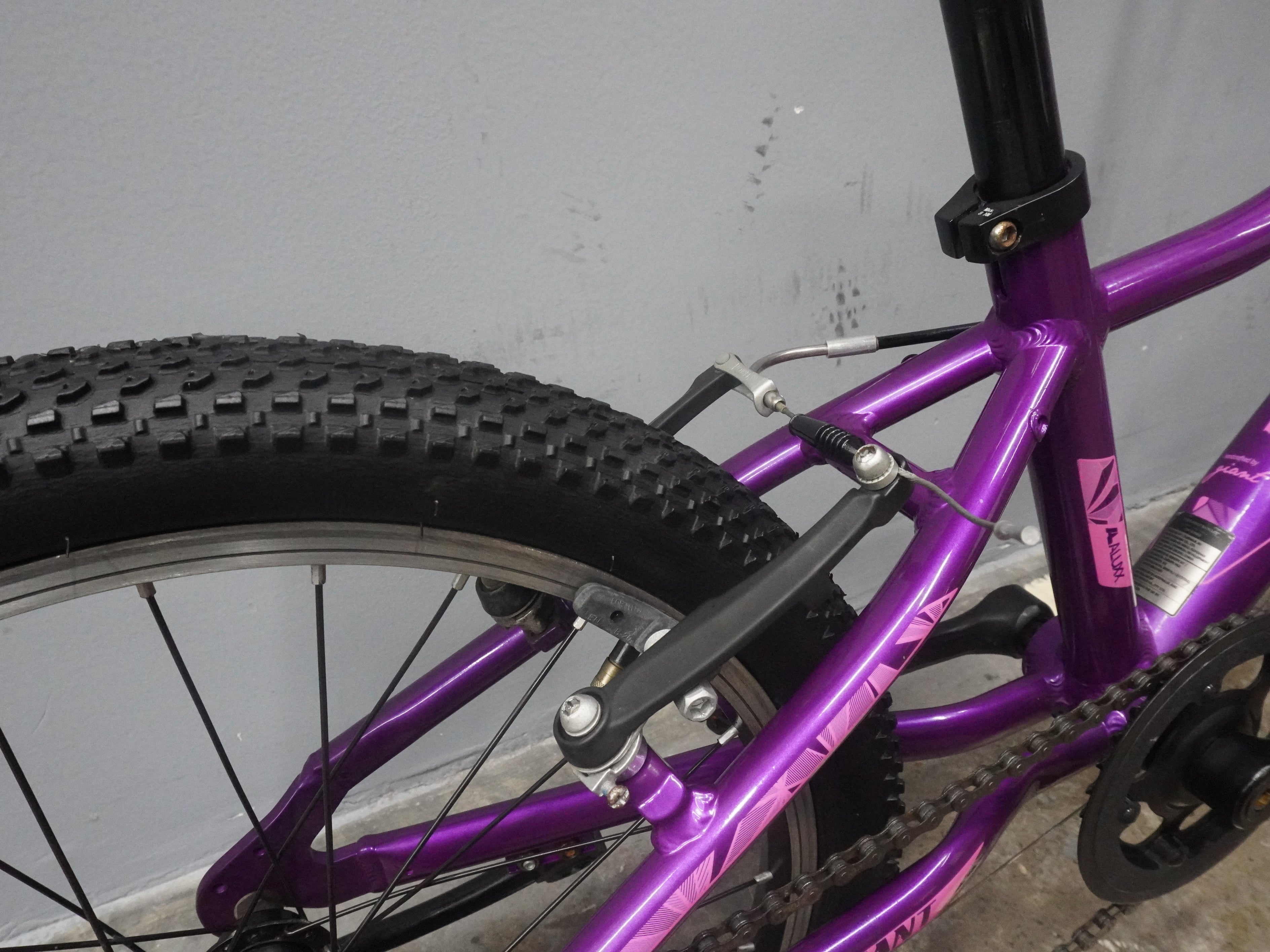 Liv Enchant Lite Kids Bike