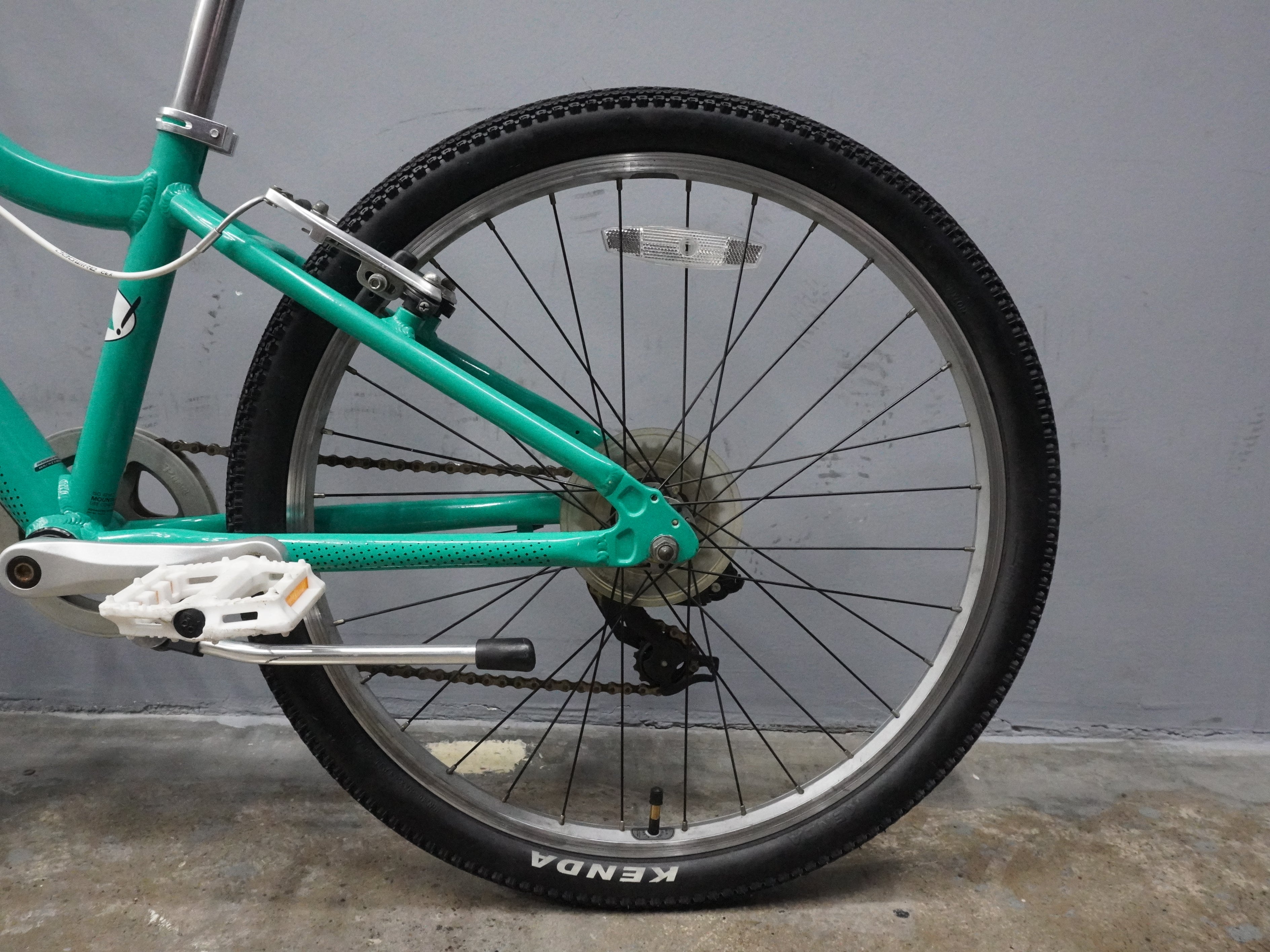 Fuji Dynamite Kids Bike