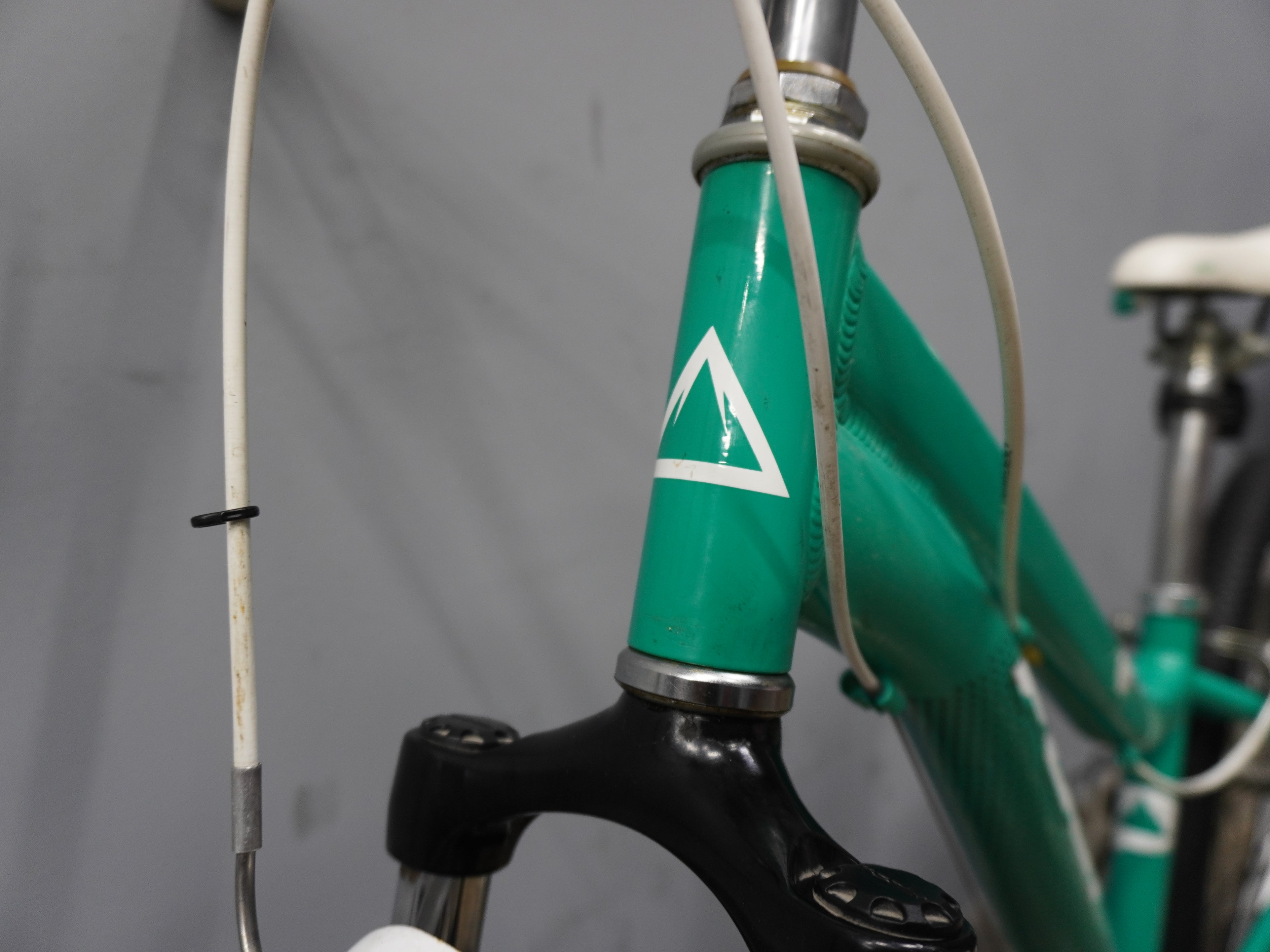 Fuji Dynamite Kids Bike