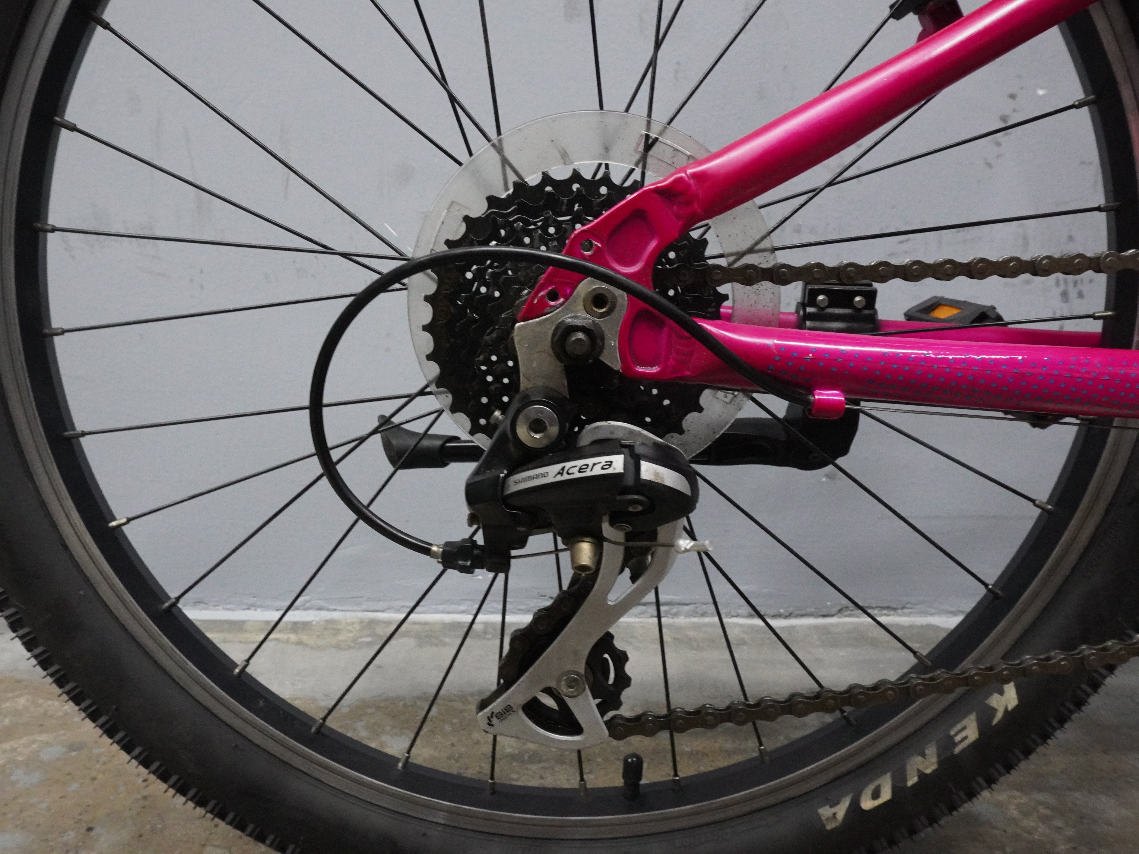 Fuji Dynamite Comp Kids Bike