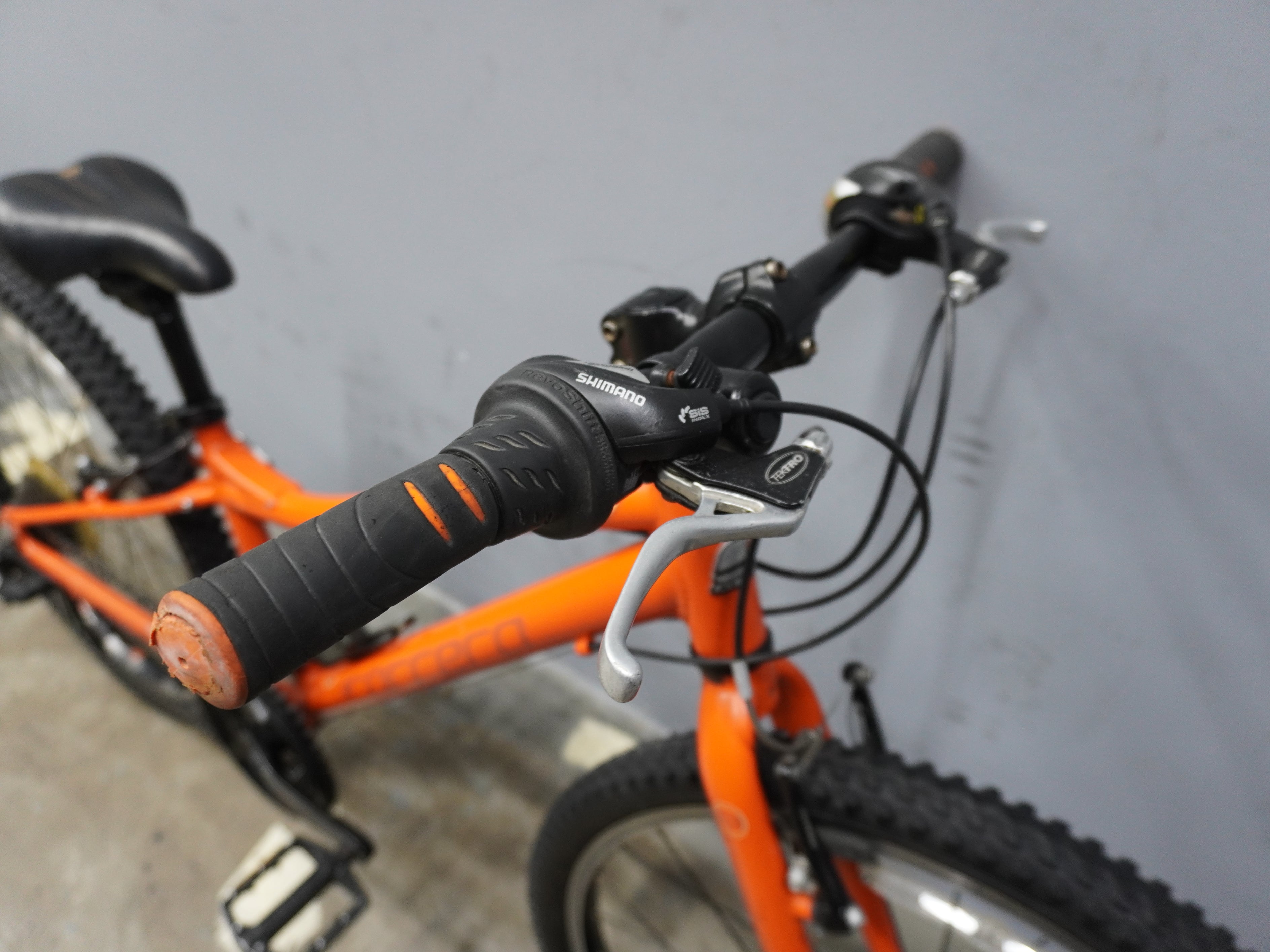 Carrera Abyss Kids Bike