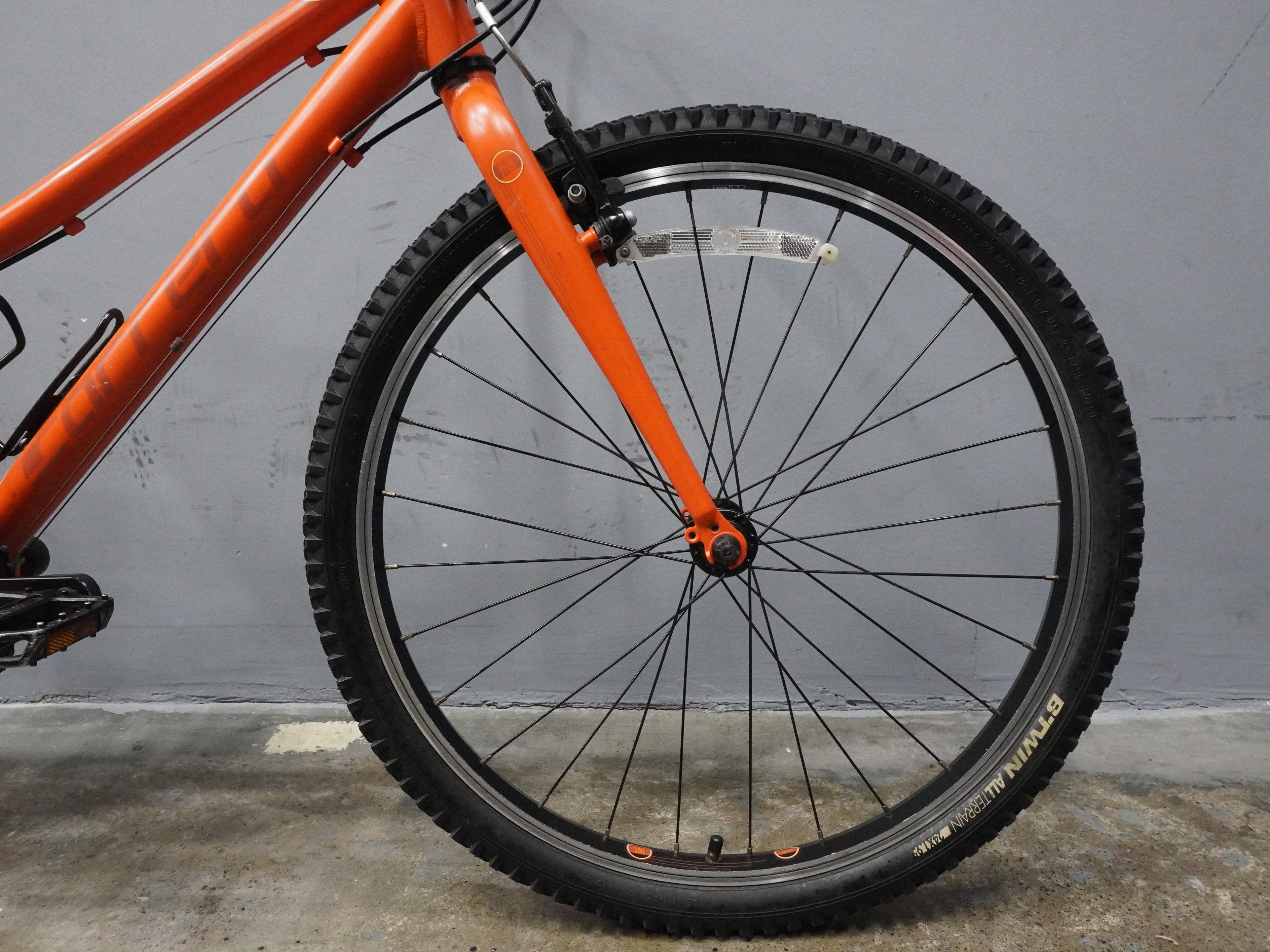 Carrera Abyss Kids Bike