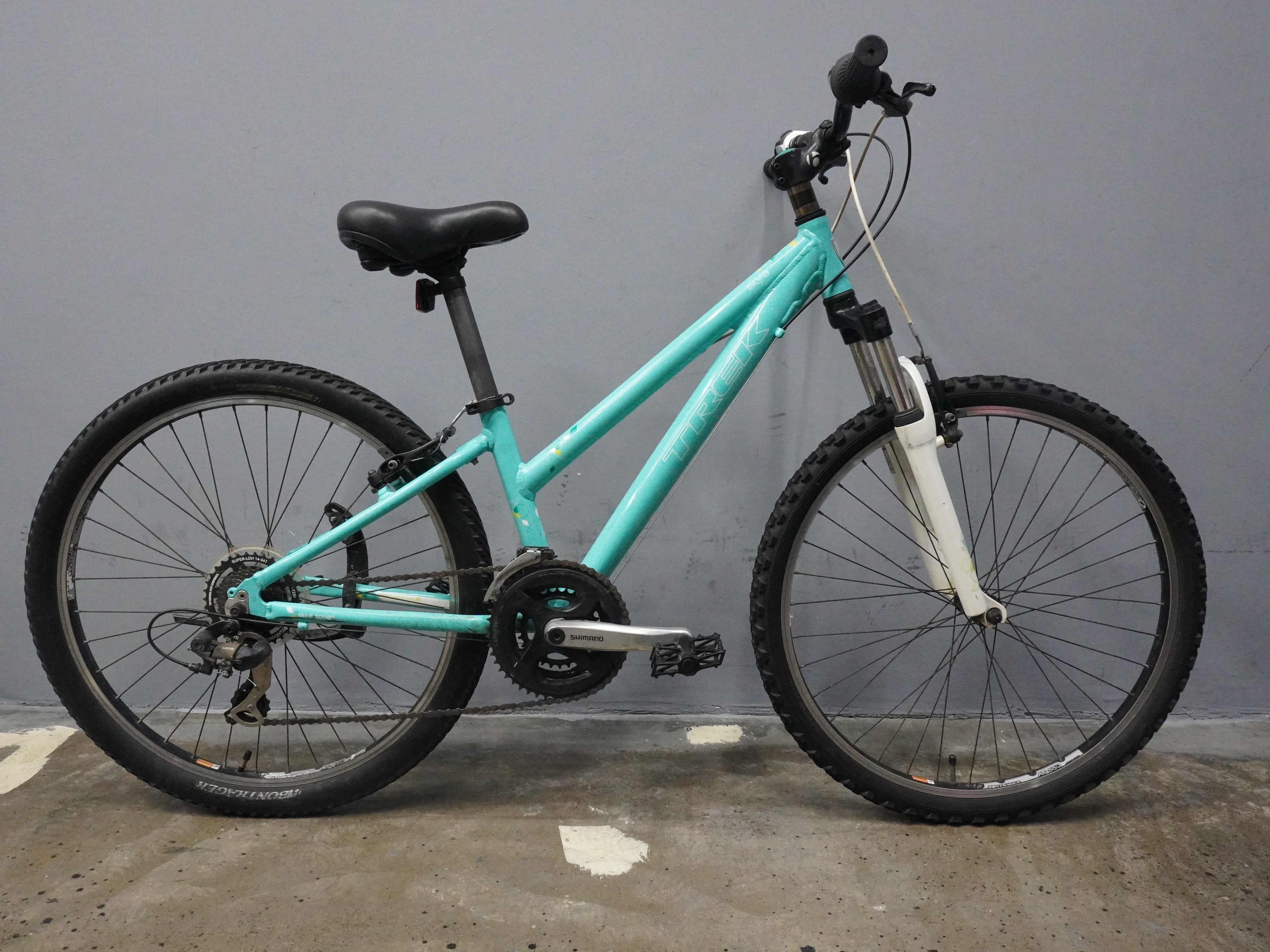 Trek Skye Mountain Bike