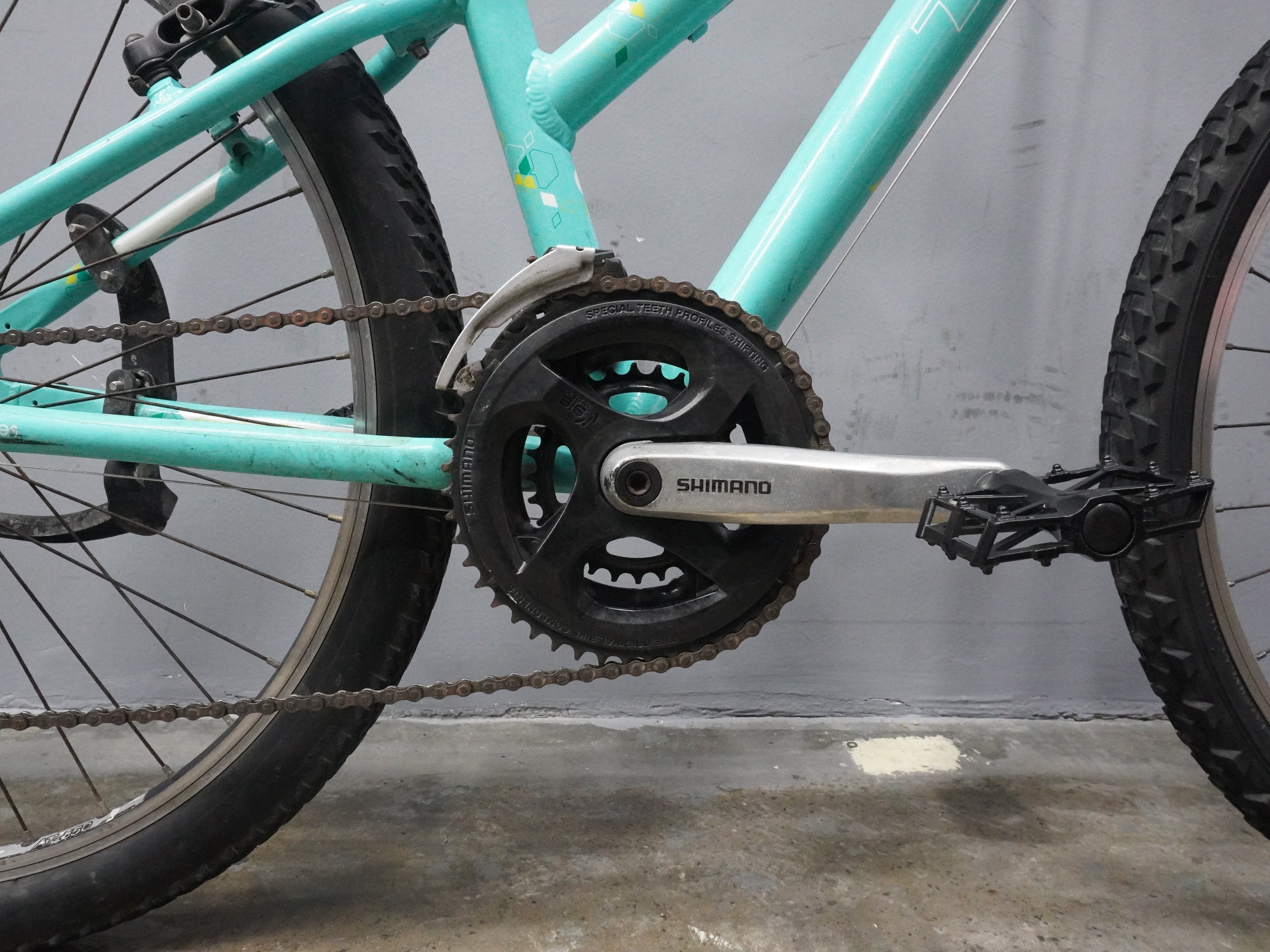 Trek Skye Mountain Bike