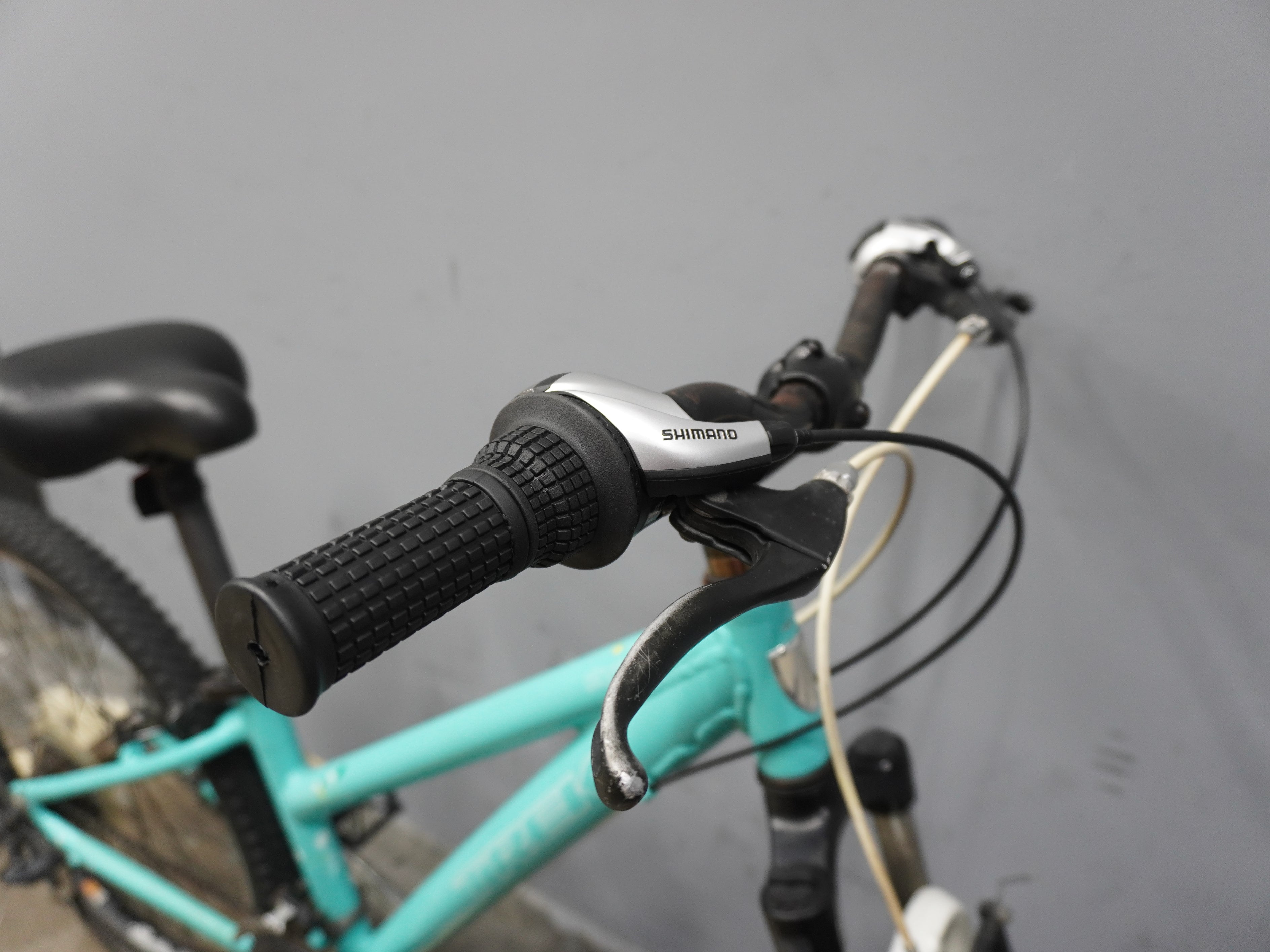 Trek Skye Mountain Bike