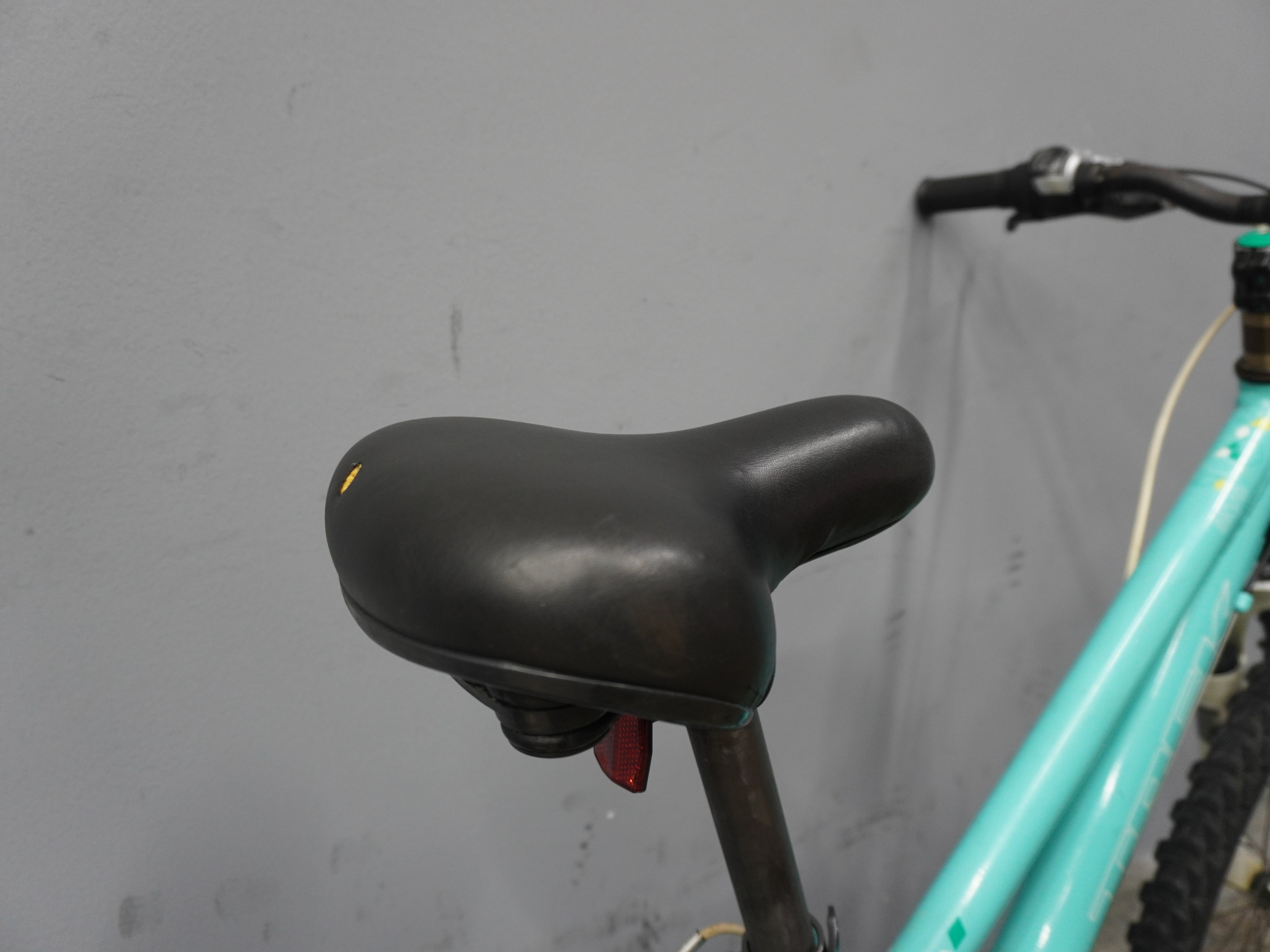 Trek Skye Mountain Bike