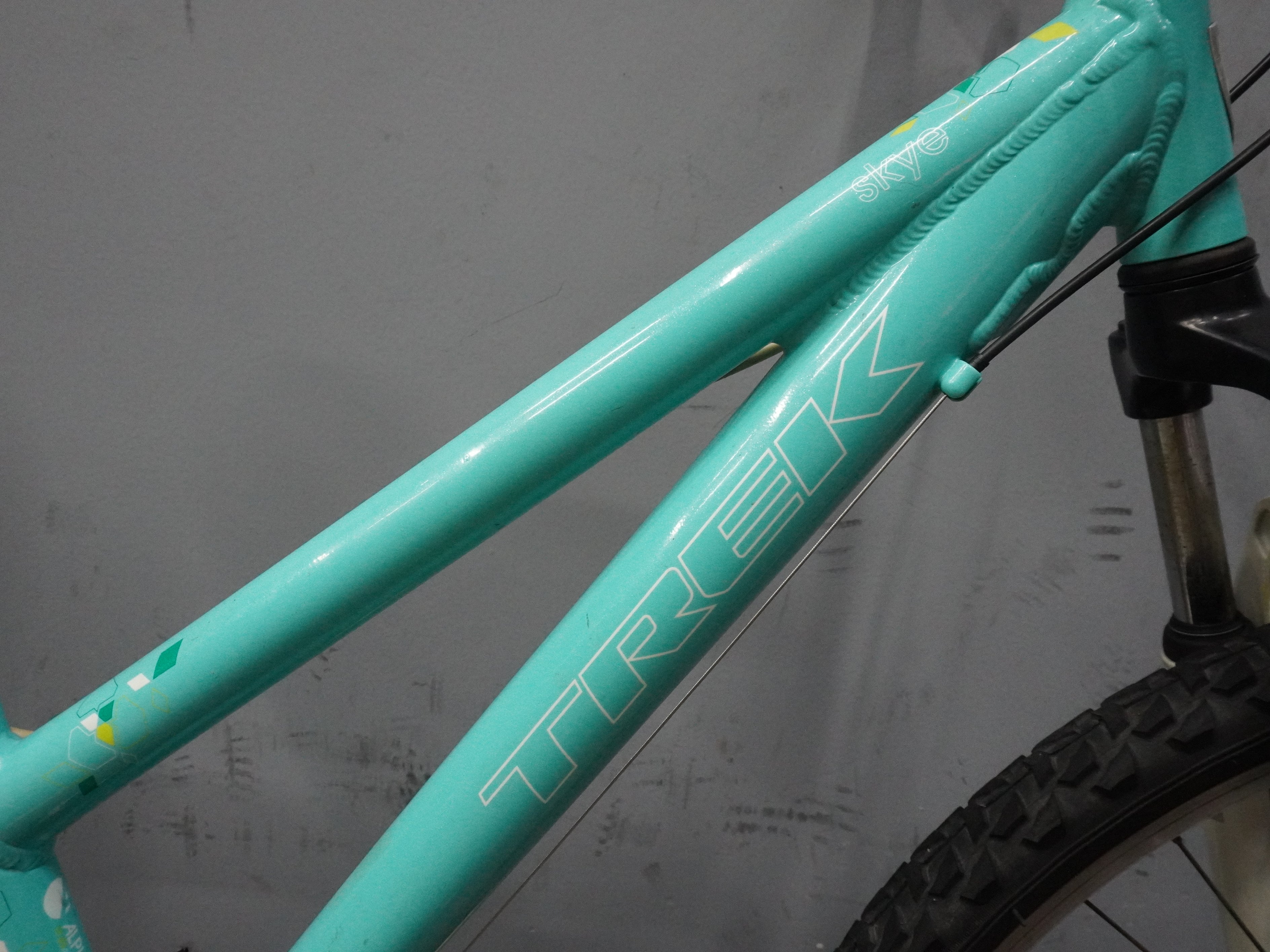 Trek Skye Mountain Bike