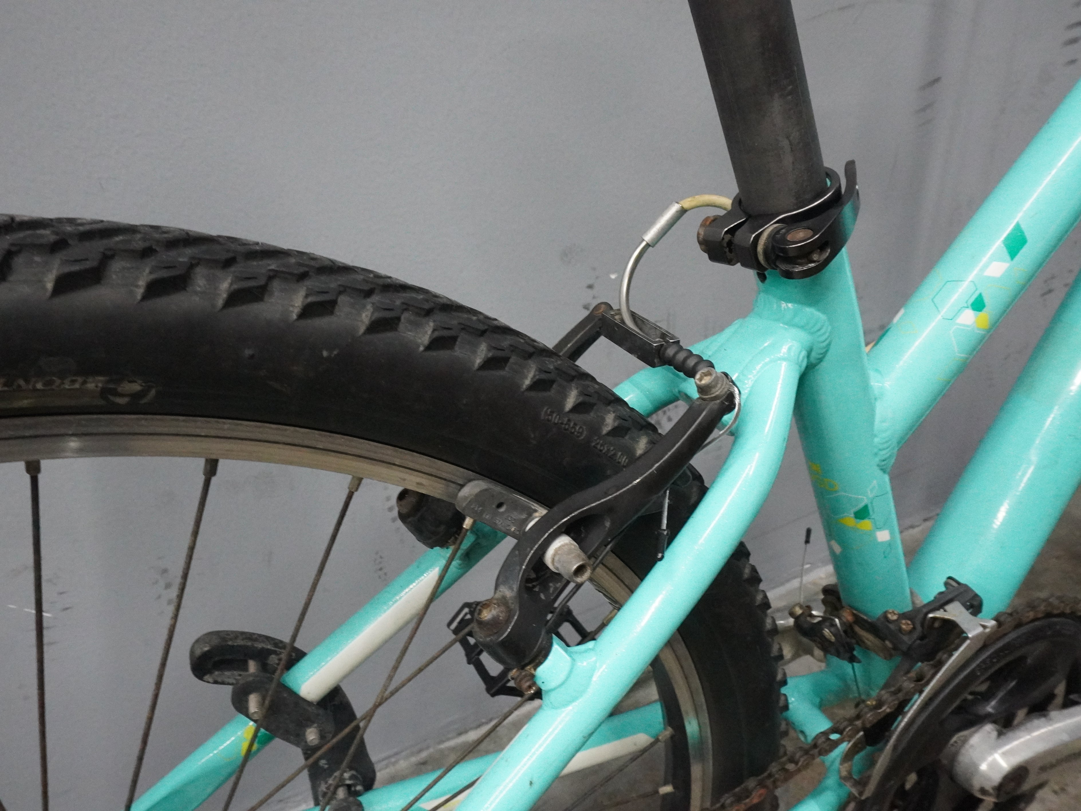 Trek Skye Mountain Bike