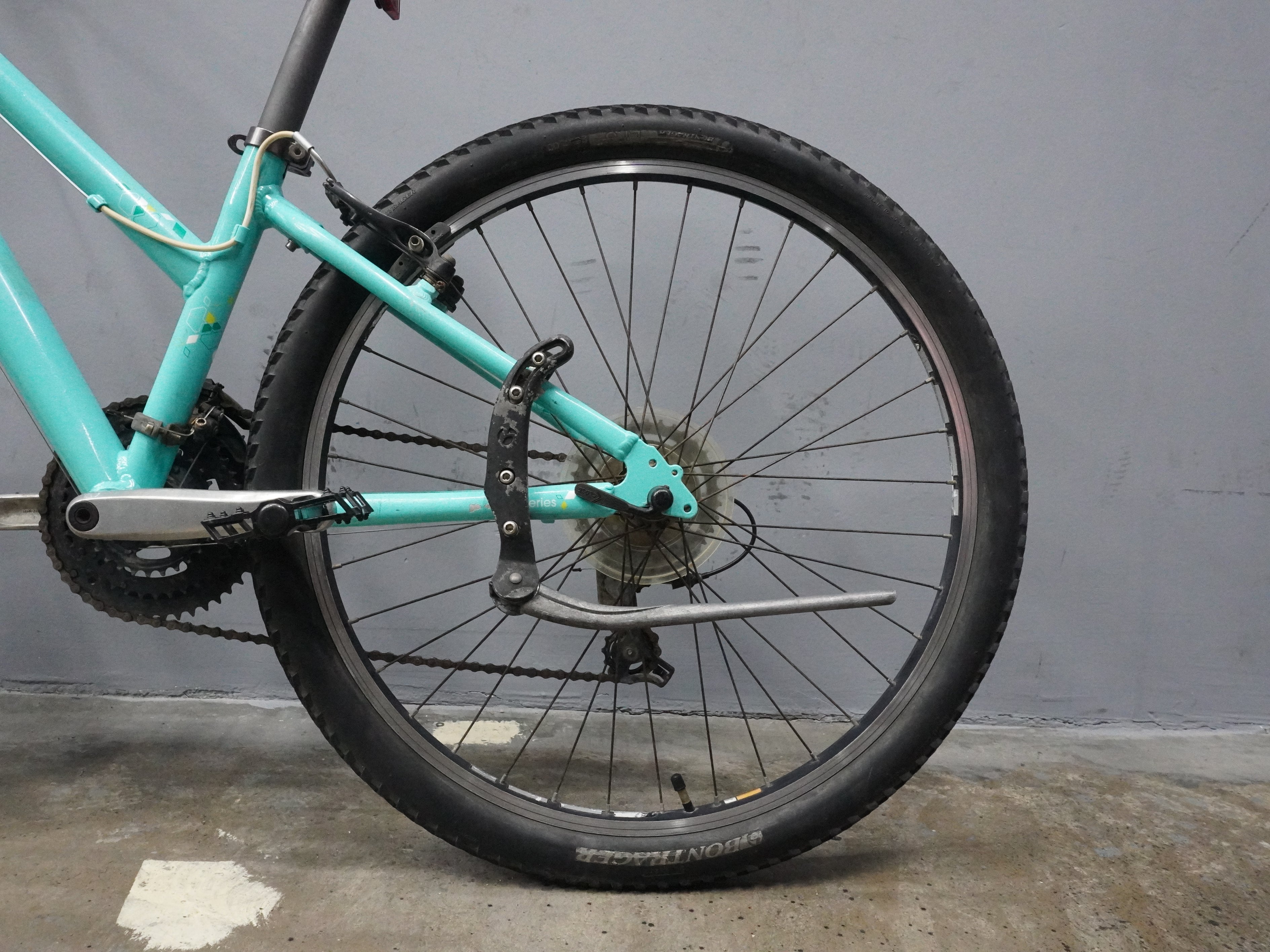 Trek Skye Mountain Bike