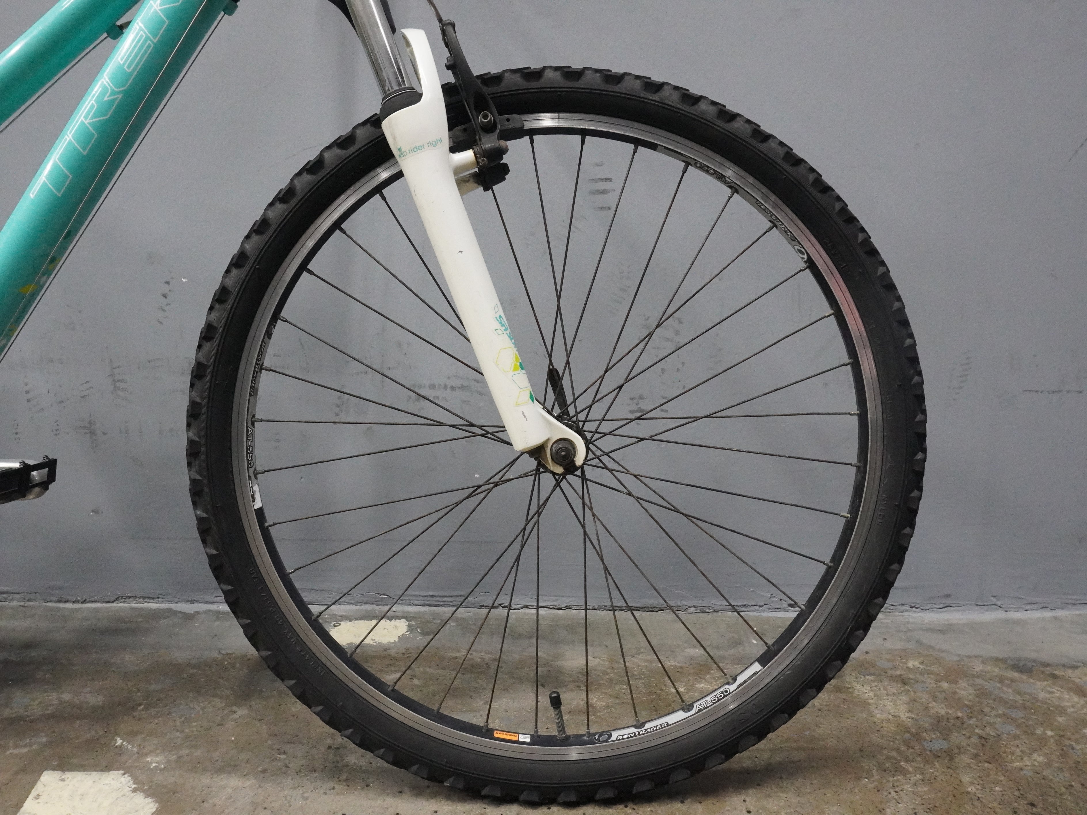 Trek Skye Mountain Bike