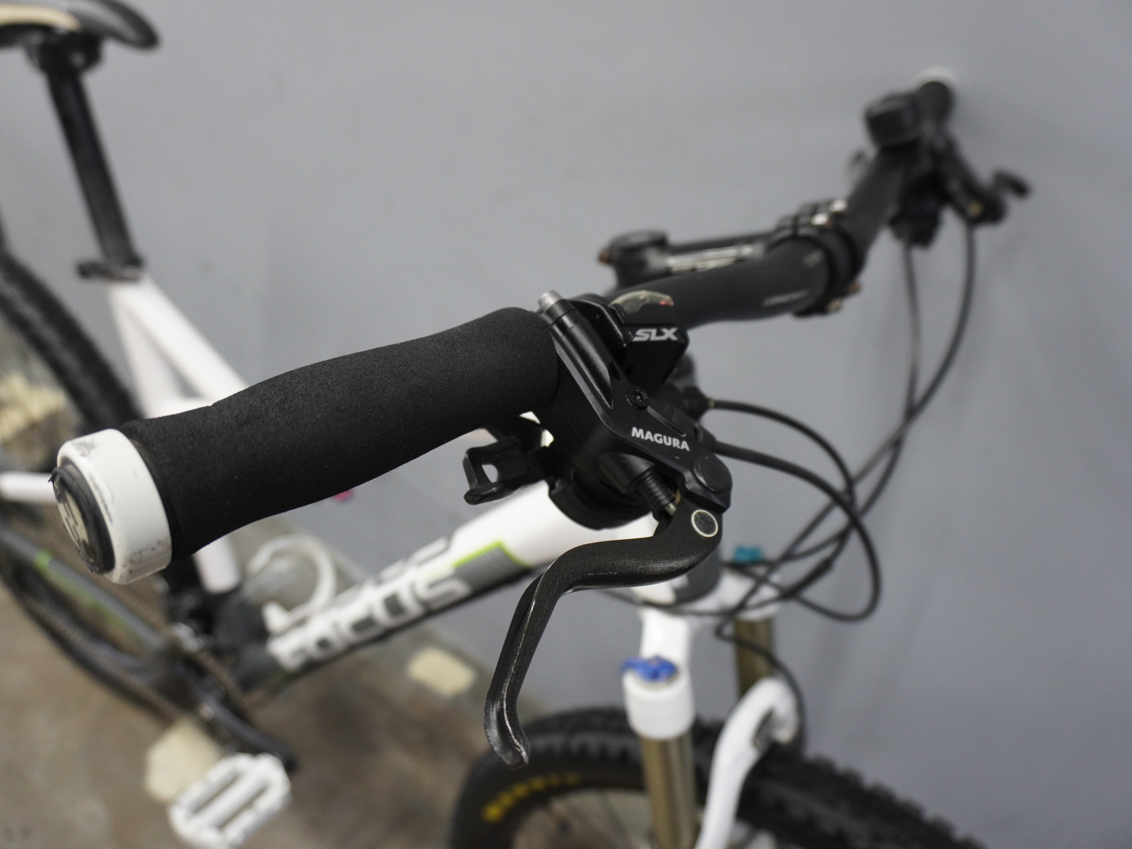 Focus Superbud 3.0 Mountain Bike