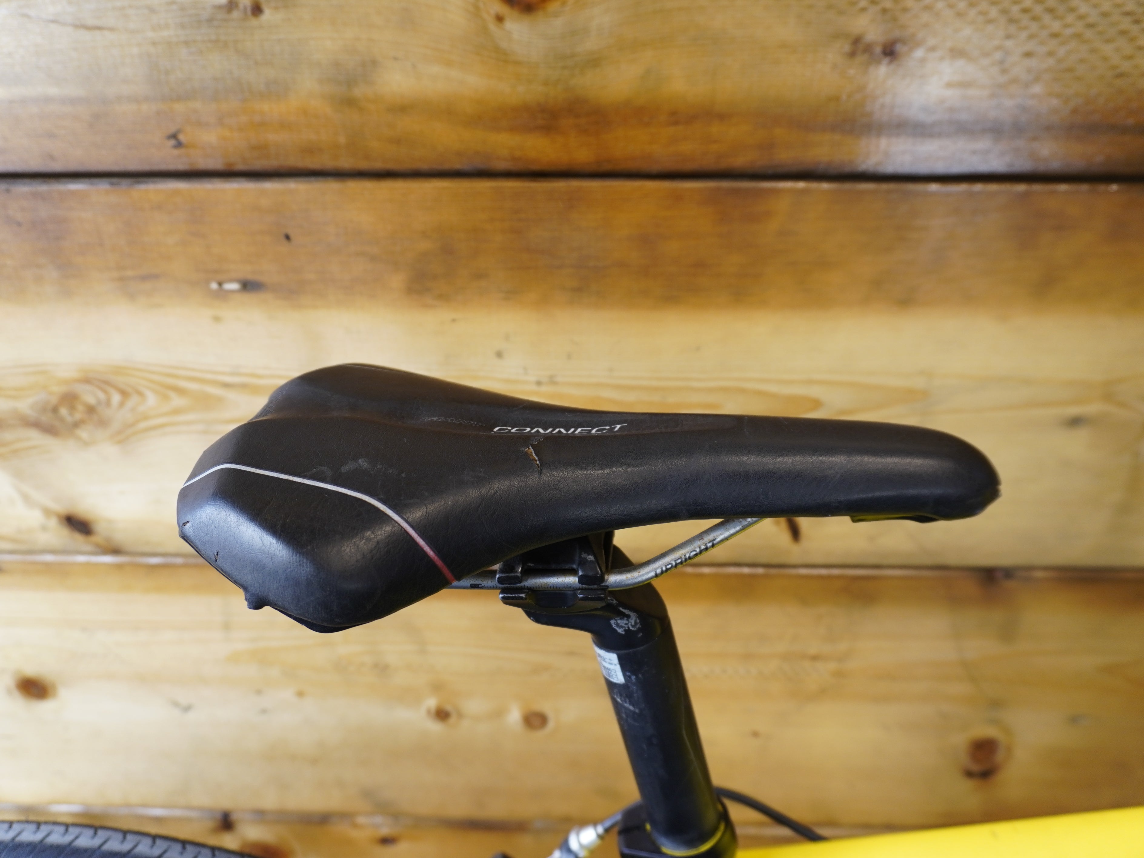 RENT Giant Defy 4 Road Bike