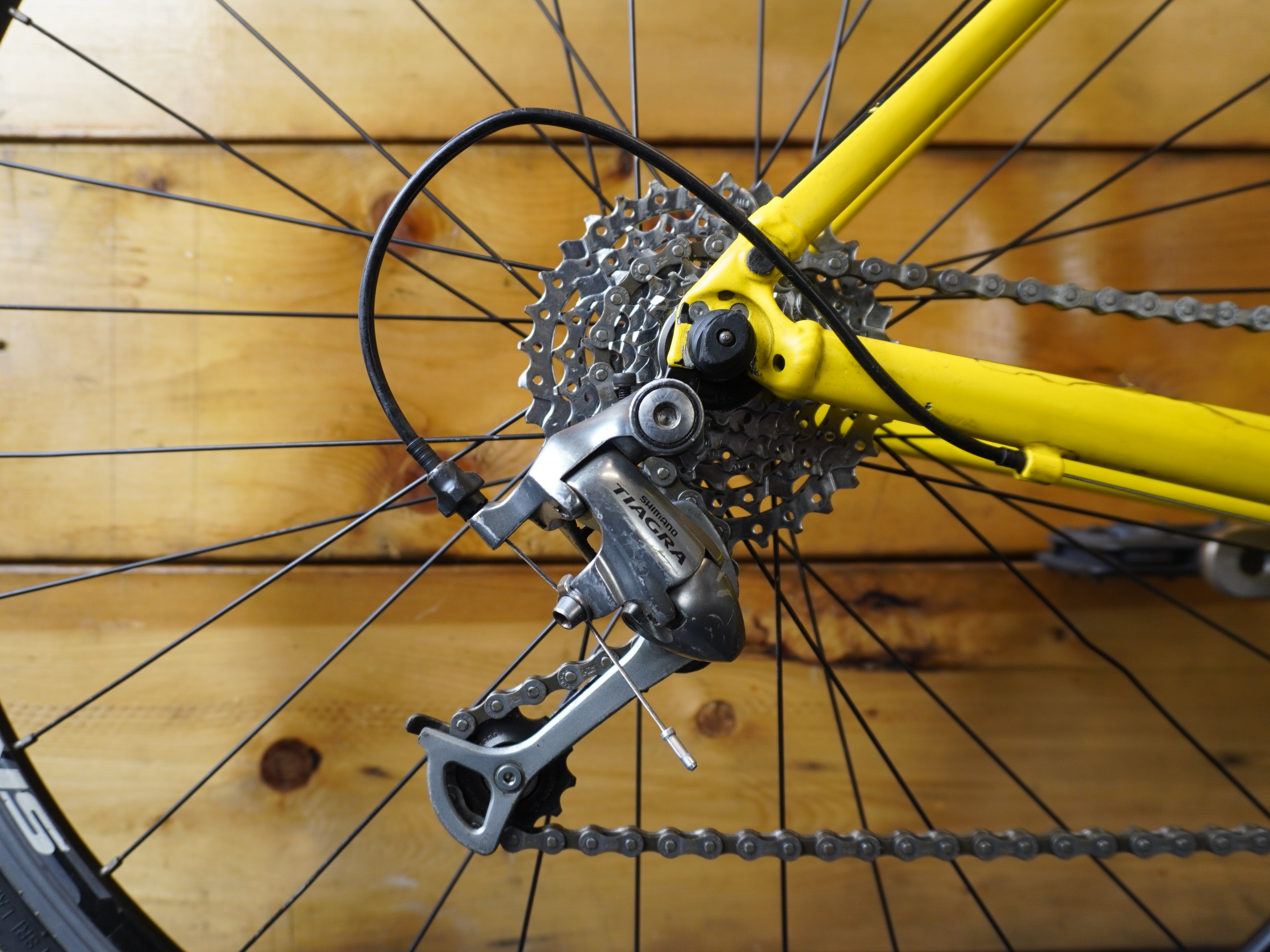 RENT Giant Defy 4 Road Bike