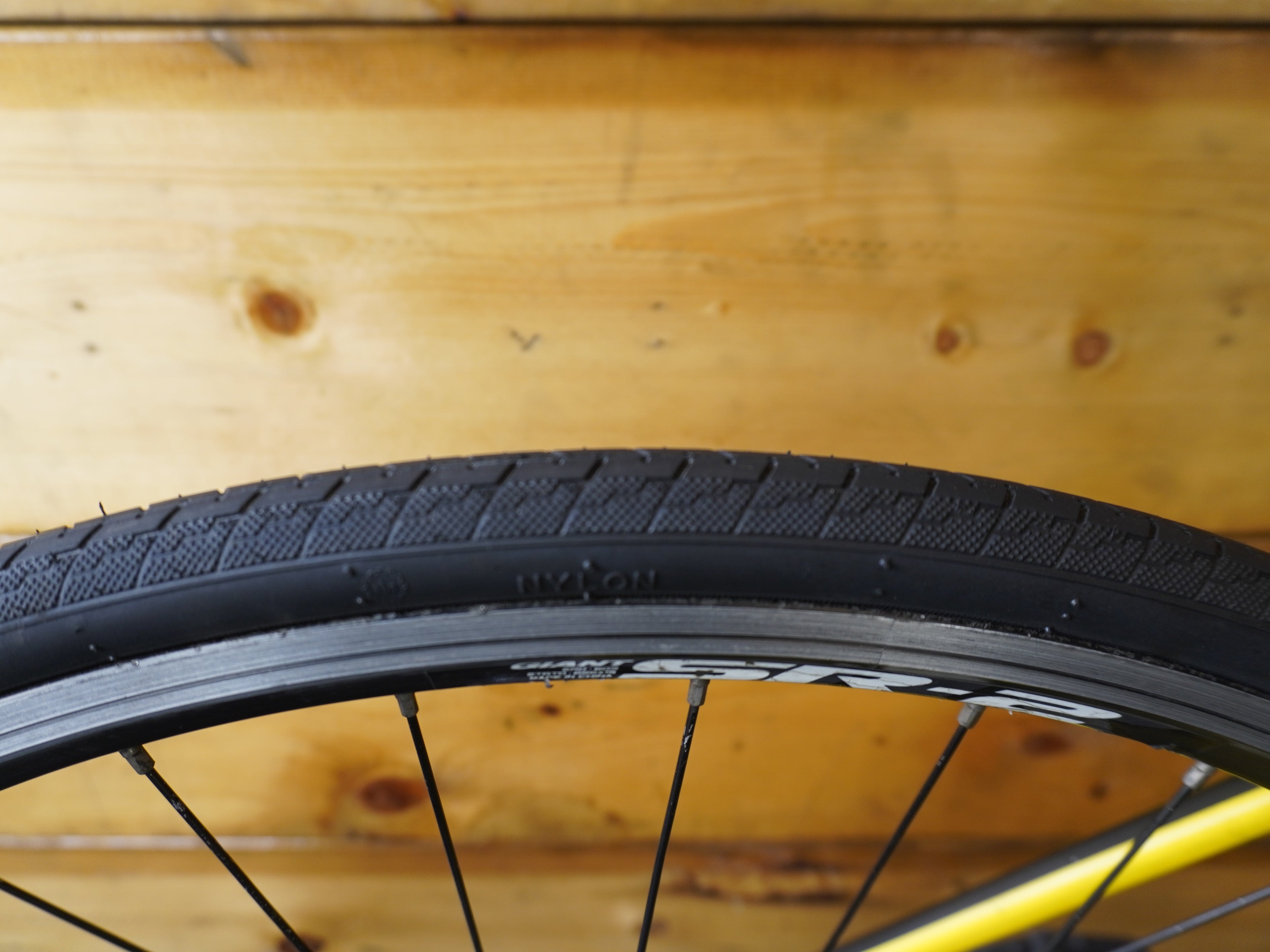 RENT Giant Defy 4 Road Bike