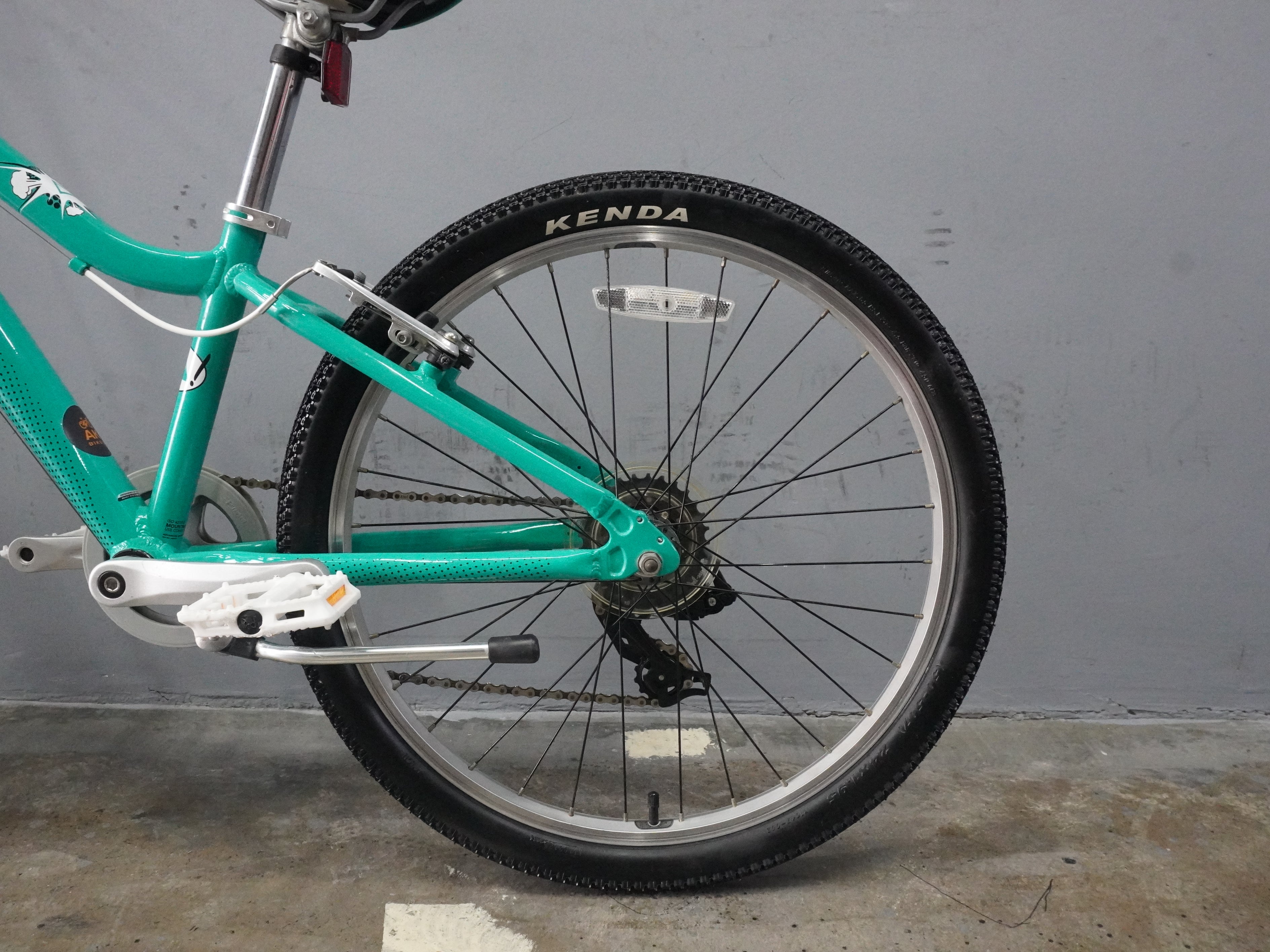 Fuji Dynamite Kids Bike