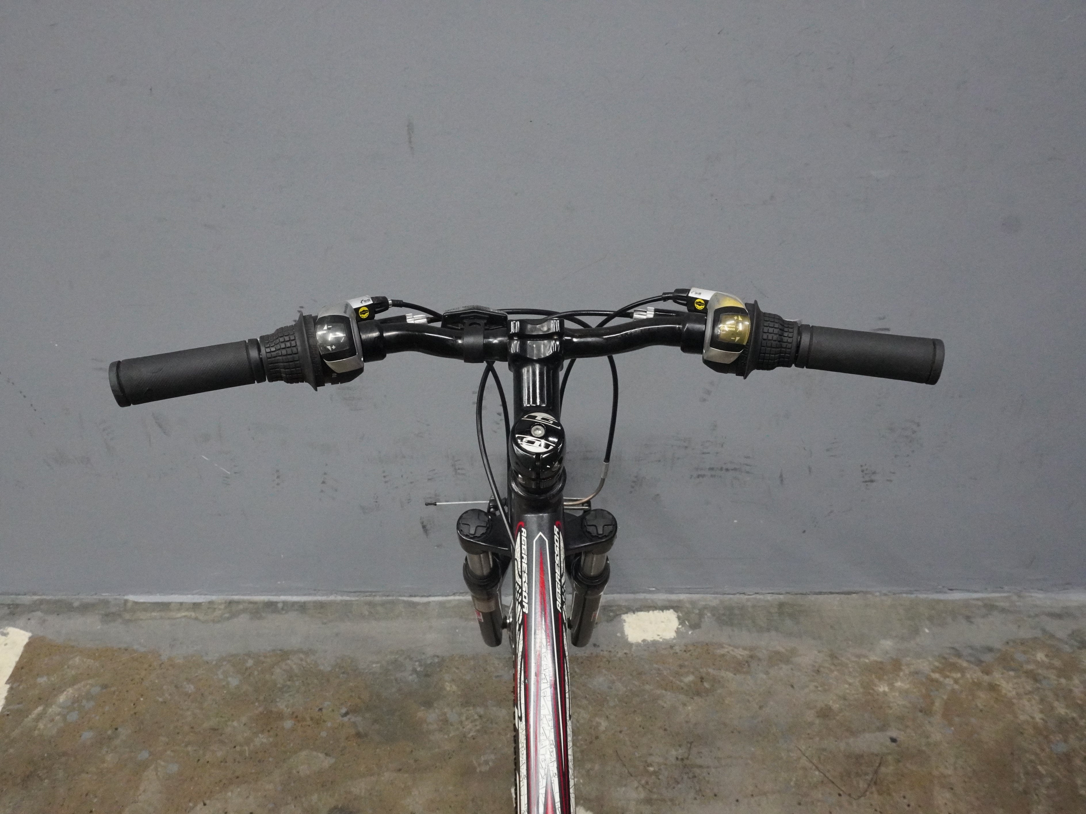 GT Aggressor Kids Bike