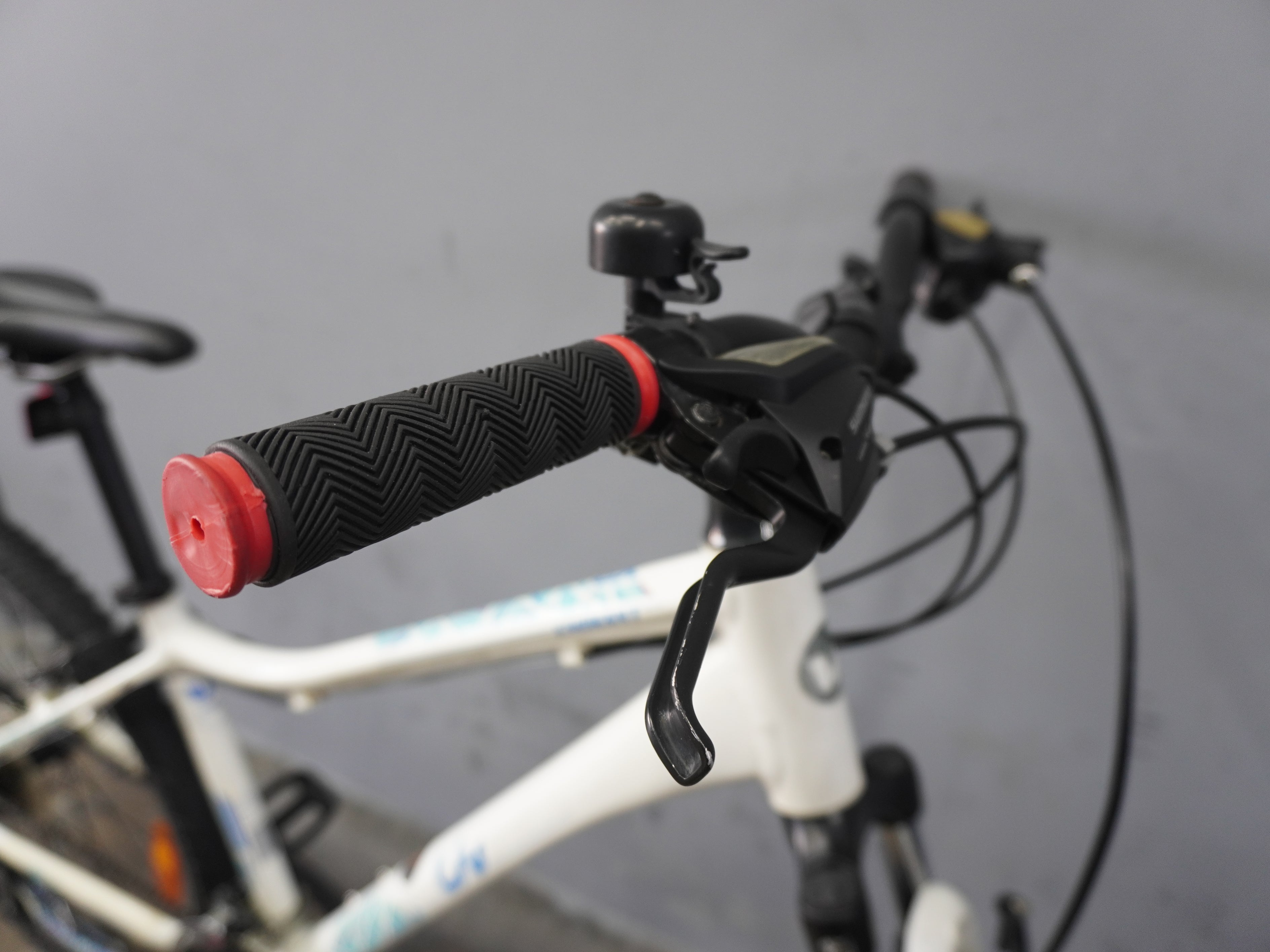 RENT Liv Enchant Mountain Bike