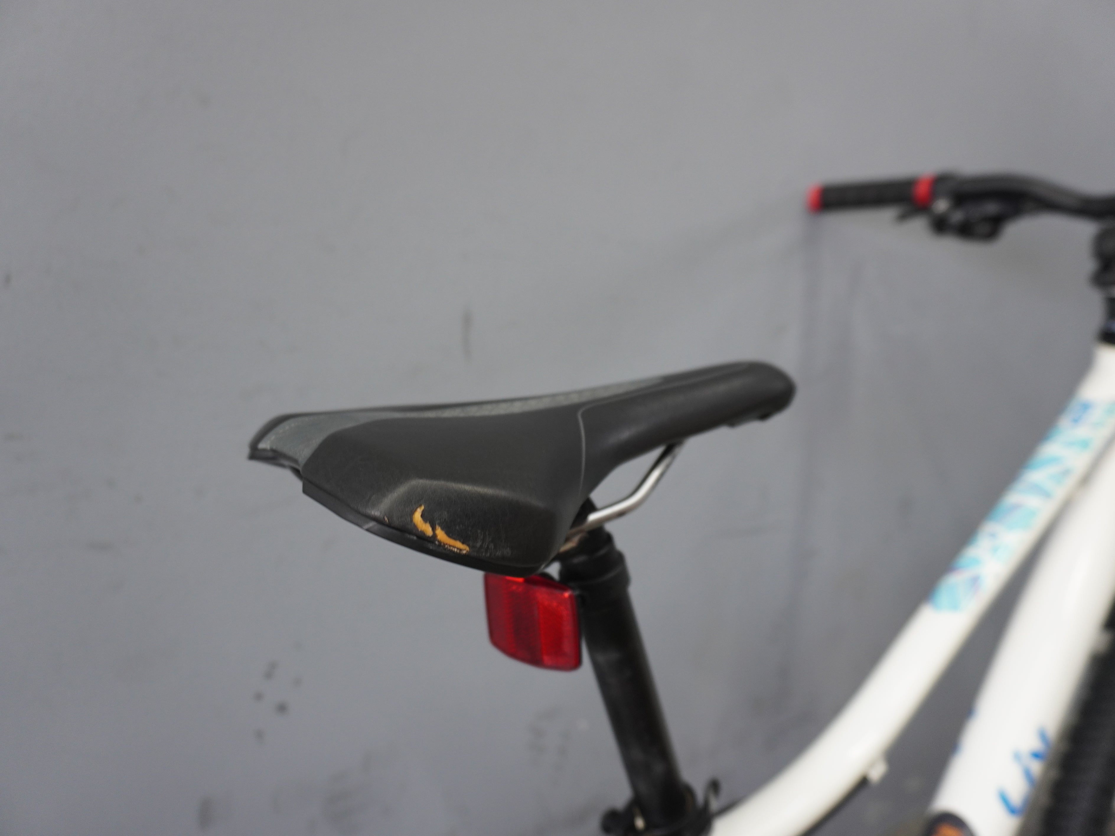 RENT Liv Enchant Mountain Bike