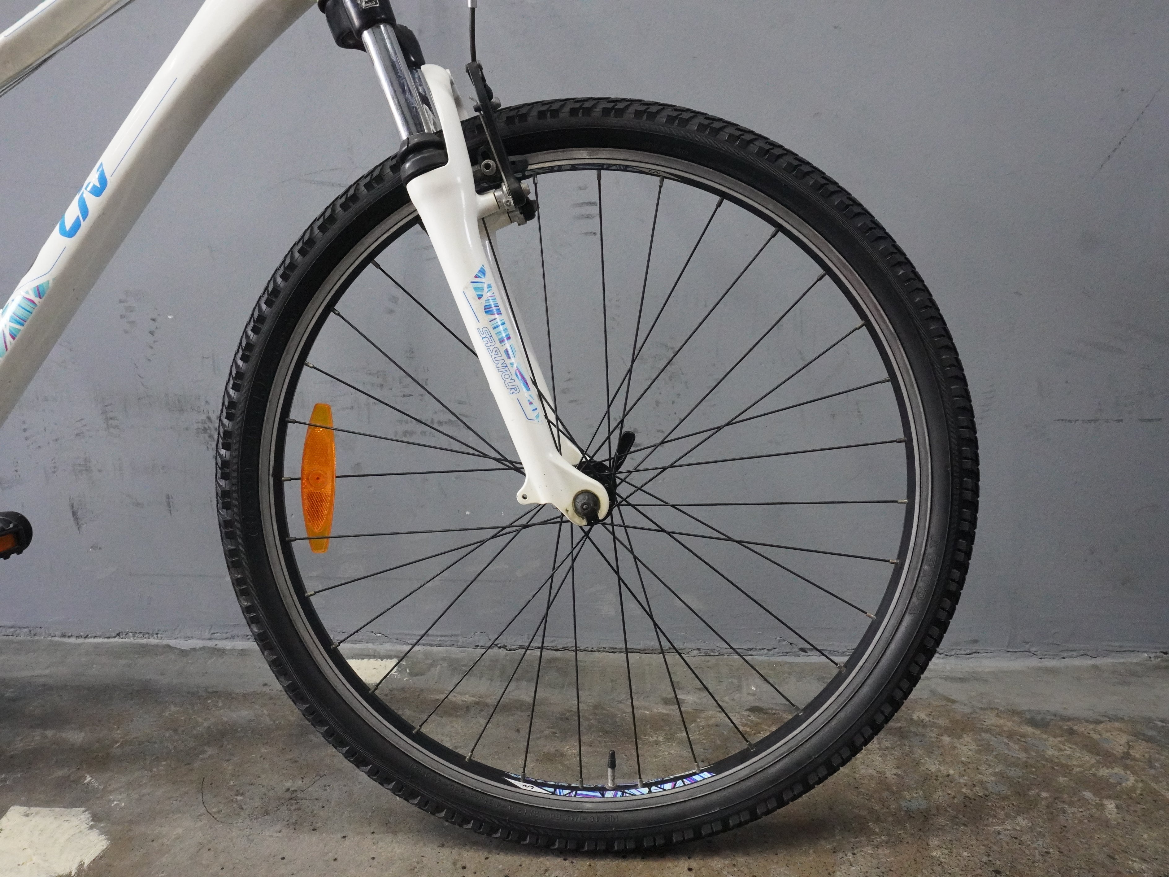 RENT Liv Enchant Mountain Bike
