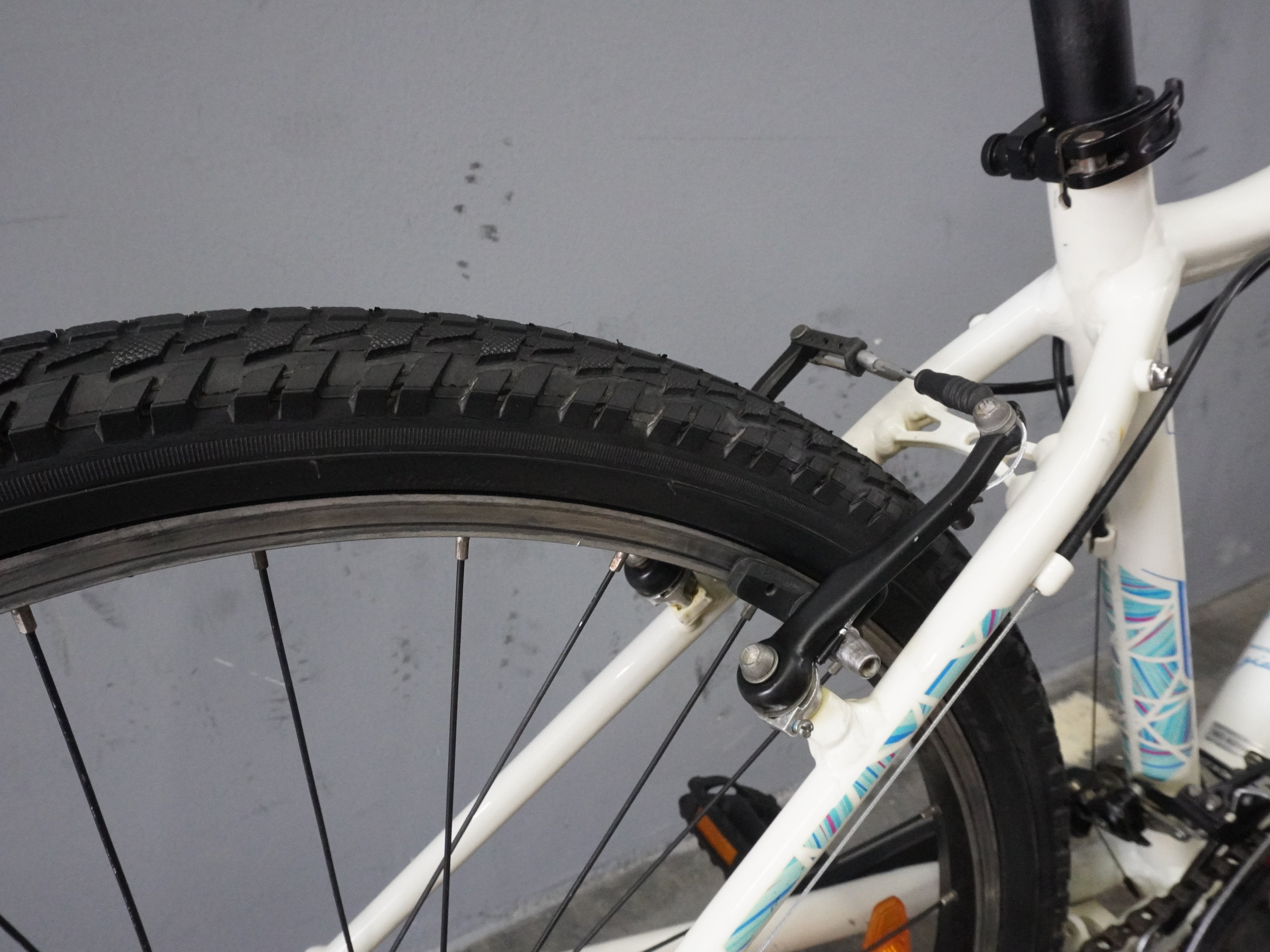 RENT Liv Enchant Mountain Bike