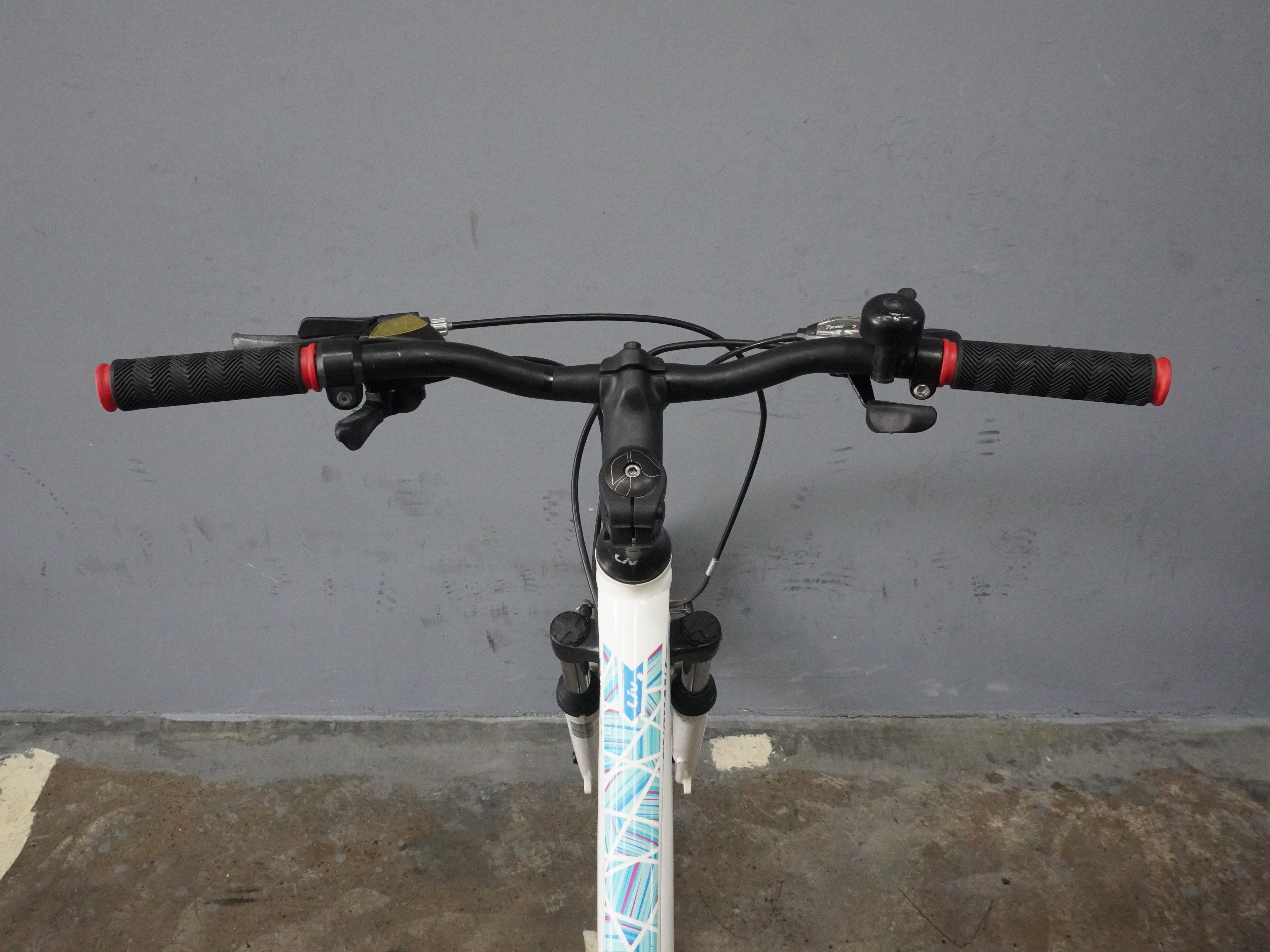 RENT Liv Enchant Mountain Bike