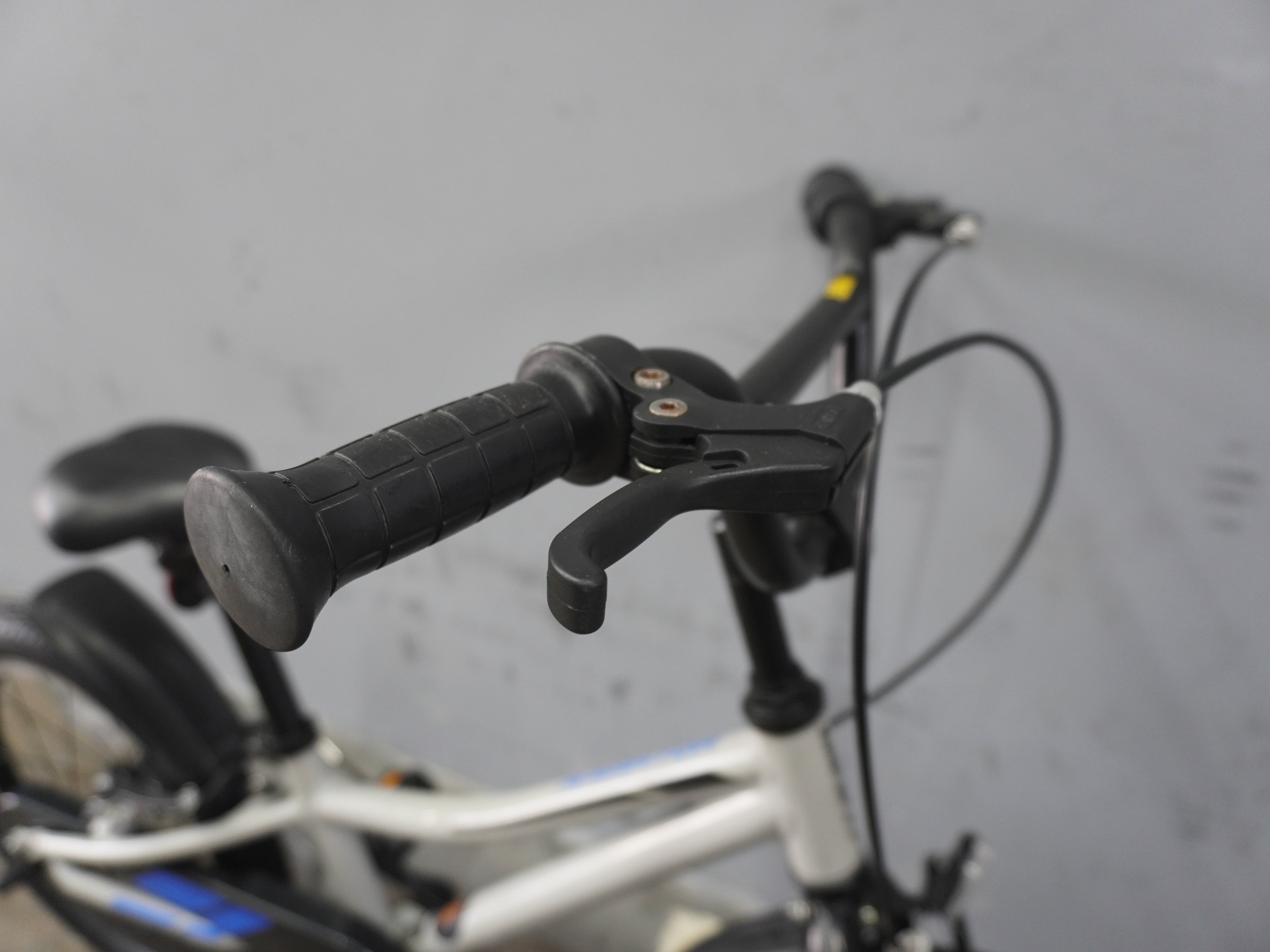 Giant Animator Kids Bike