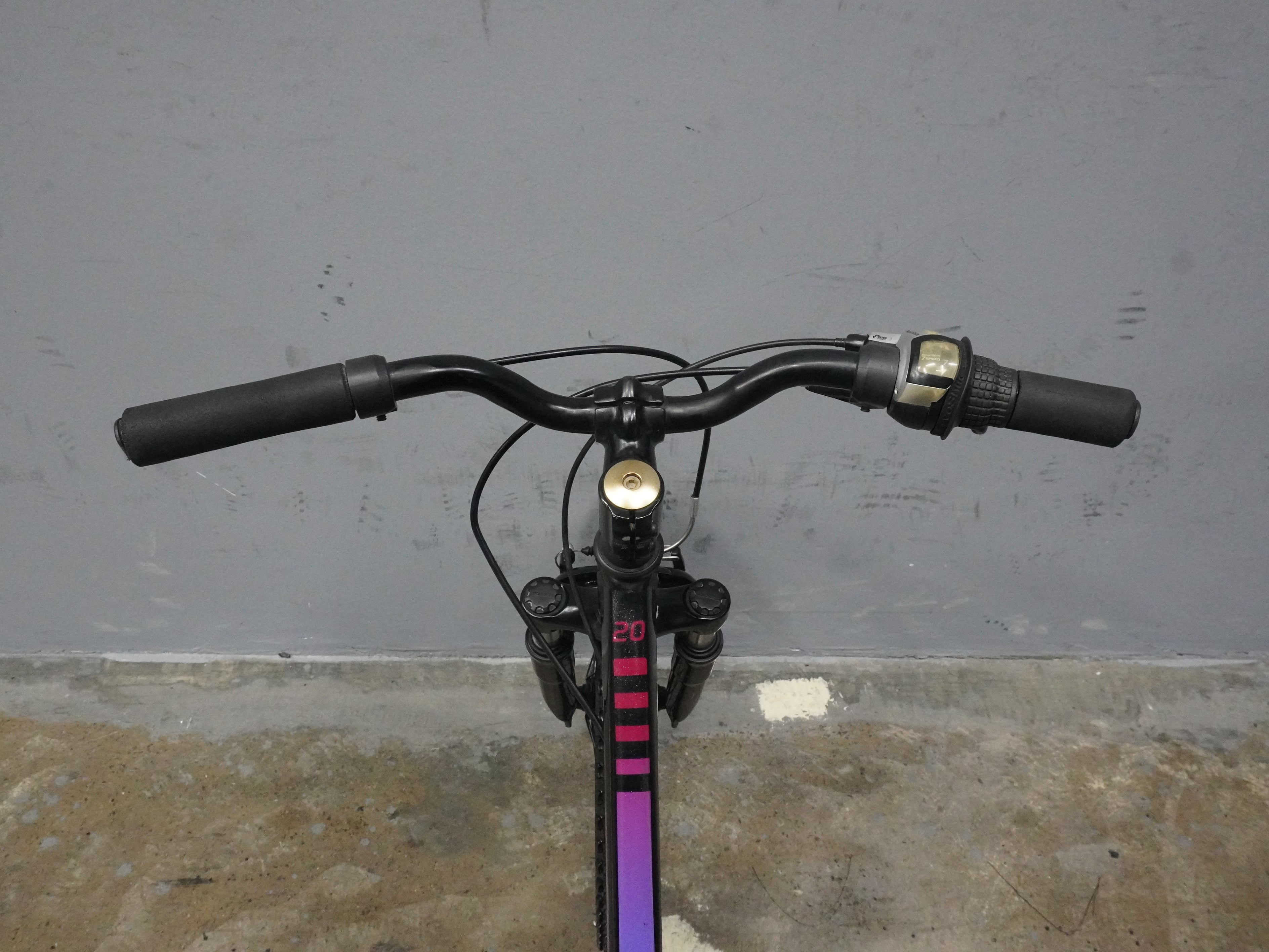 Trek Precaliber Kids Bike