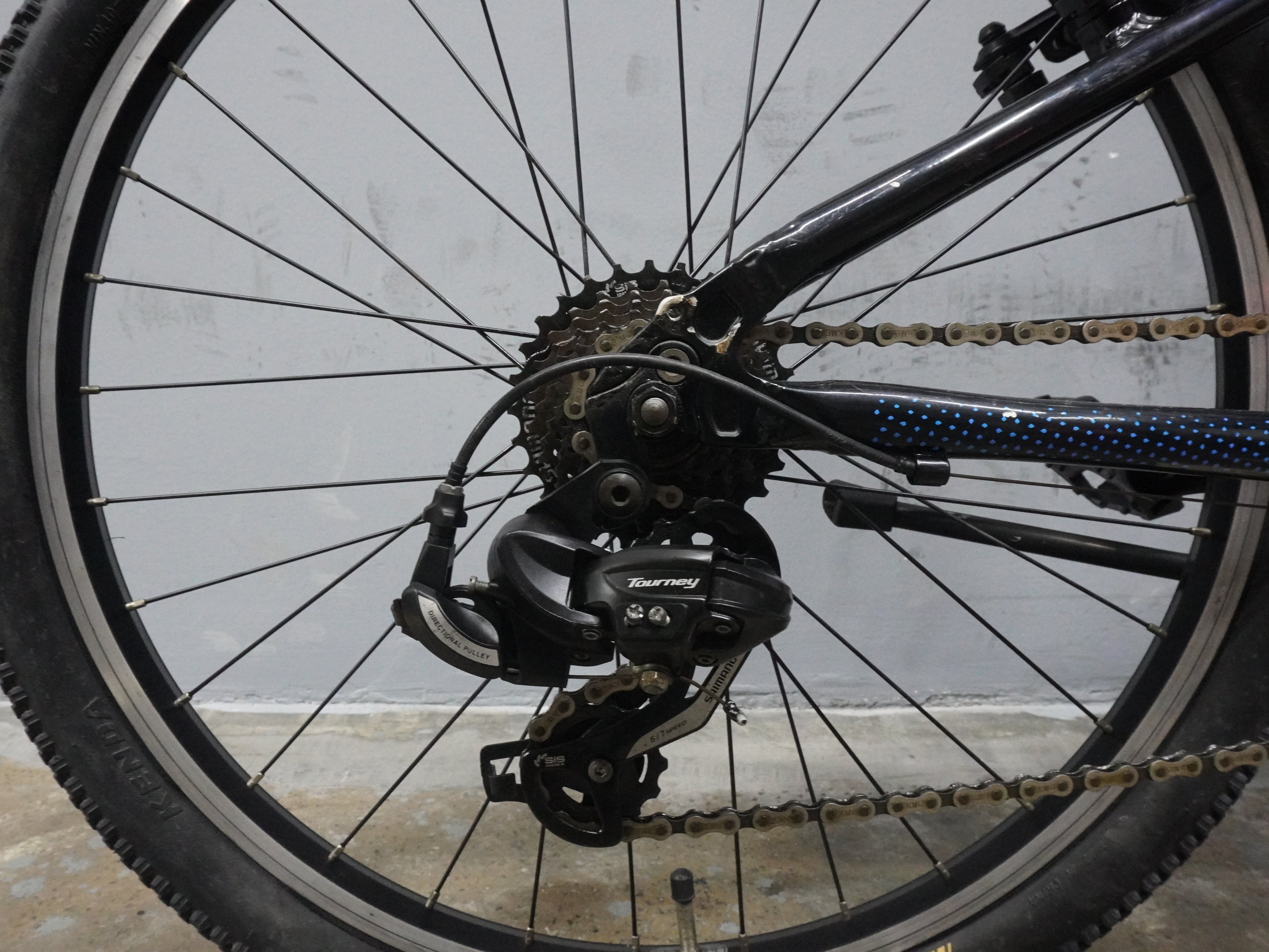 Fuji Dynamite Kids Bike