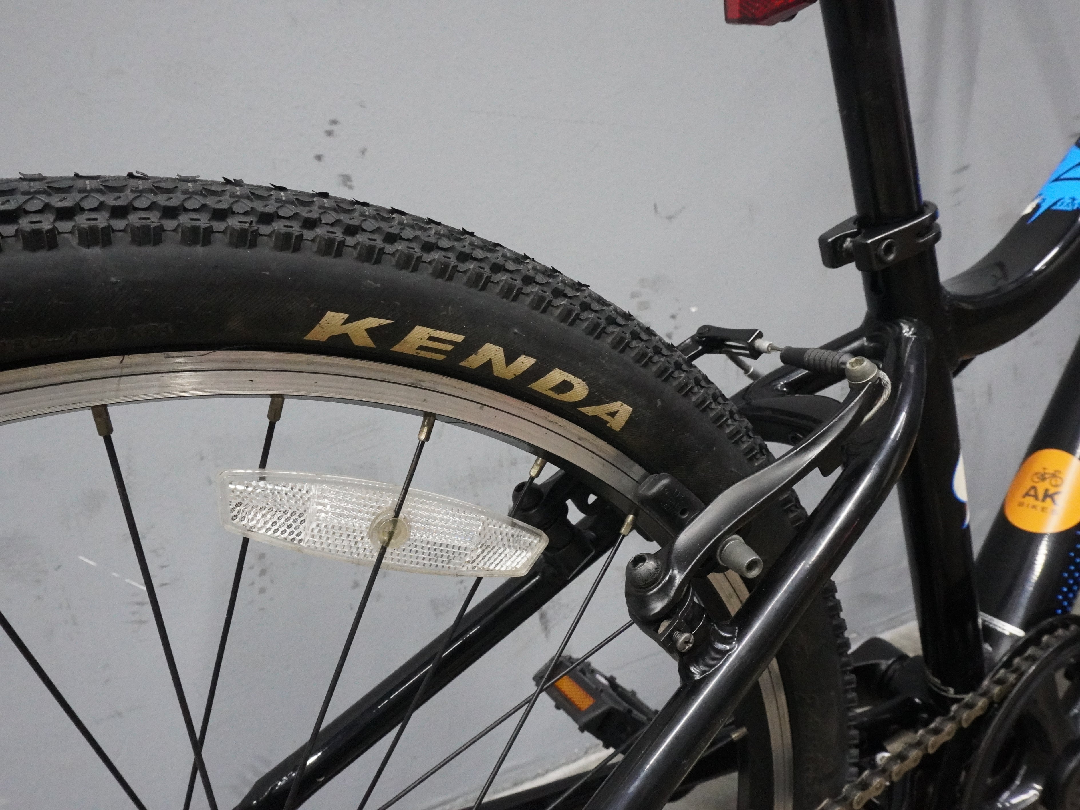 Fuji Dynamite Kids Bike