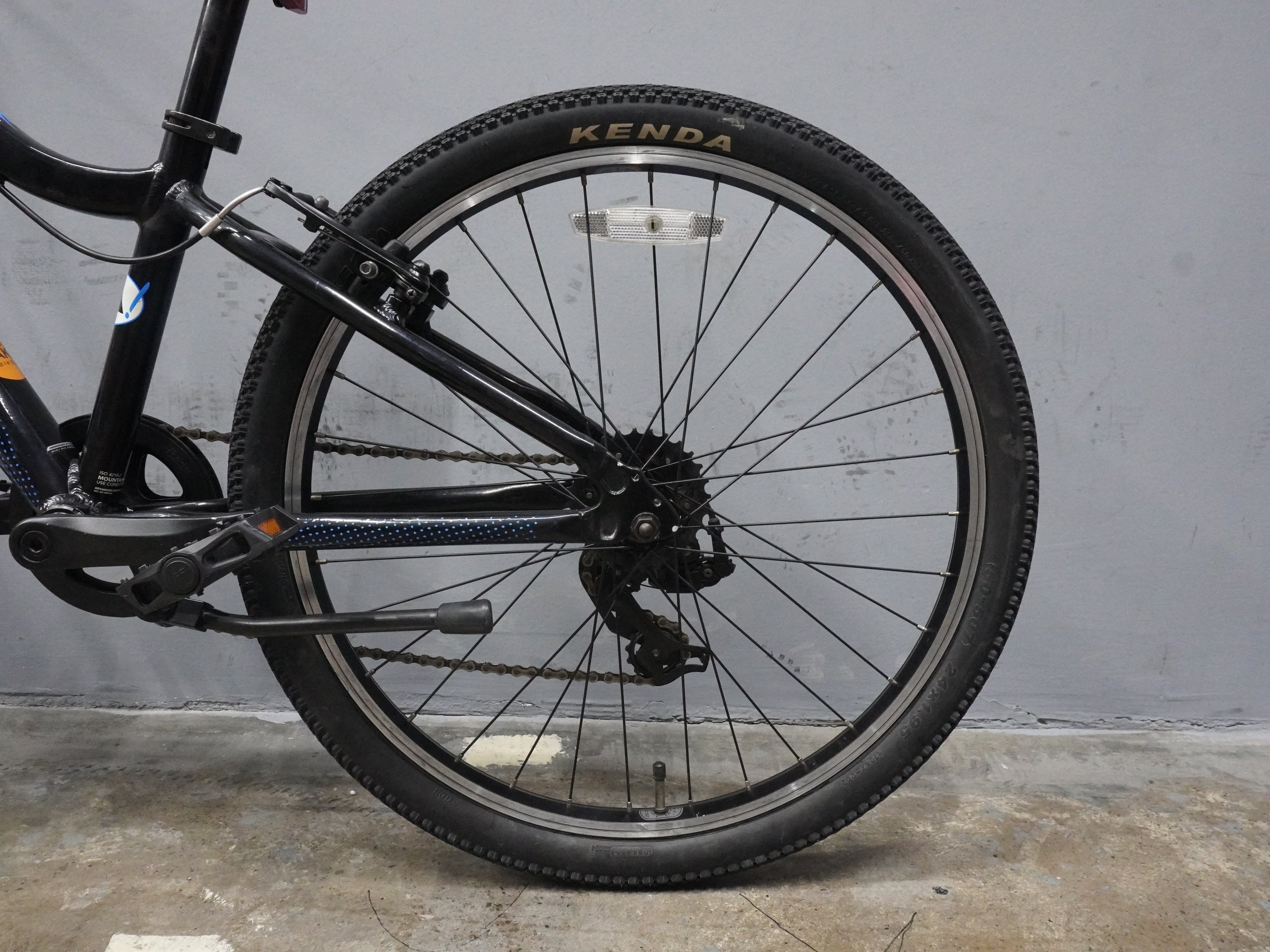 Fuji Dynamite Kids Bike